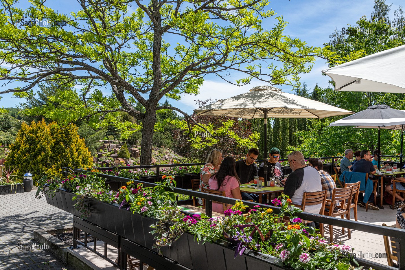 TERRASSE DU CAFE FLORA POUR DEGUSTER LES LEGUMES BIO DU JARDIN BOTANIQUE, EDMUNDSTON, NOUVEAU-BRUNSWICK, CANADA, AMERIQUE DU NORD 