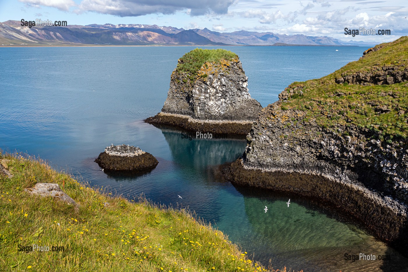 FALAISES DE ROCHES VOLCANIQUES NOIRES, ZONE DE NIDIFICATION DES GOELANDS, PRESQU'ILE VOLCANIQUE DE GRUNDARFJORDUR, PENINSULE DE SNAEFFELSNES DECRITE DANS LE ROMAN DE JULES VERNES, ARNARSTAPI, ISLANDE 