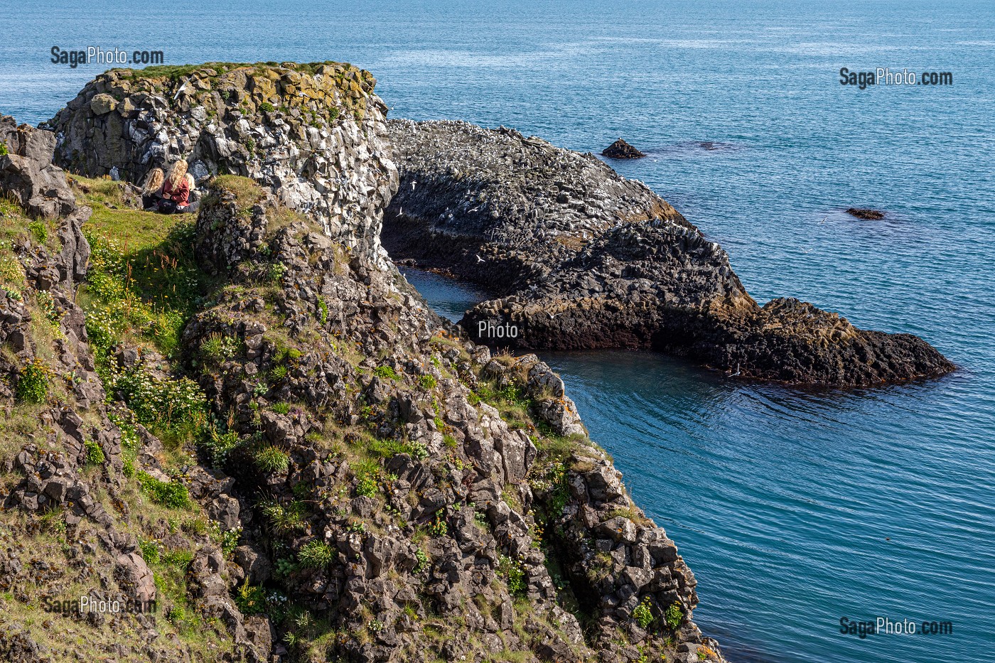 FALAISES DE ROCHES VOLCANIQUES NOIRES, ZONE DE NIDIFICATION DES GOELANDS, PRESQU'ILE VOLCANIQUE DE GRUNDARFJORDUR, PENINSULE DE SNAEFFELSNES DECRITE DANS LE ROMAN DE JULES VERNES, ARNARSTAPI, ISLANDE 