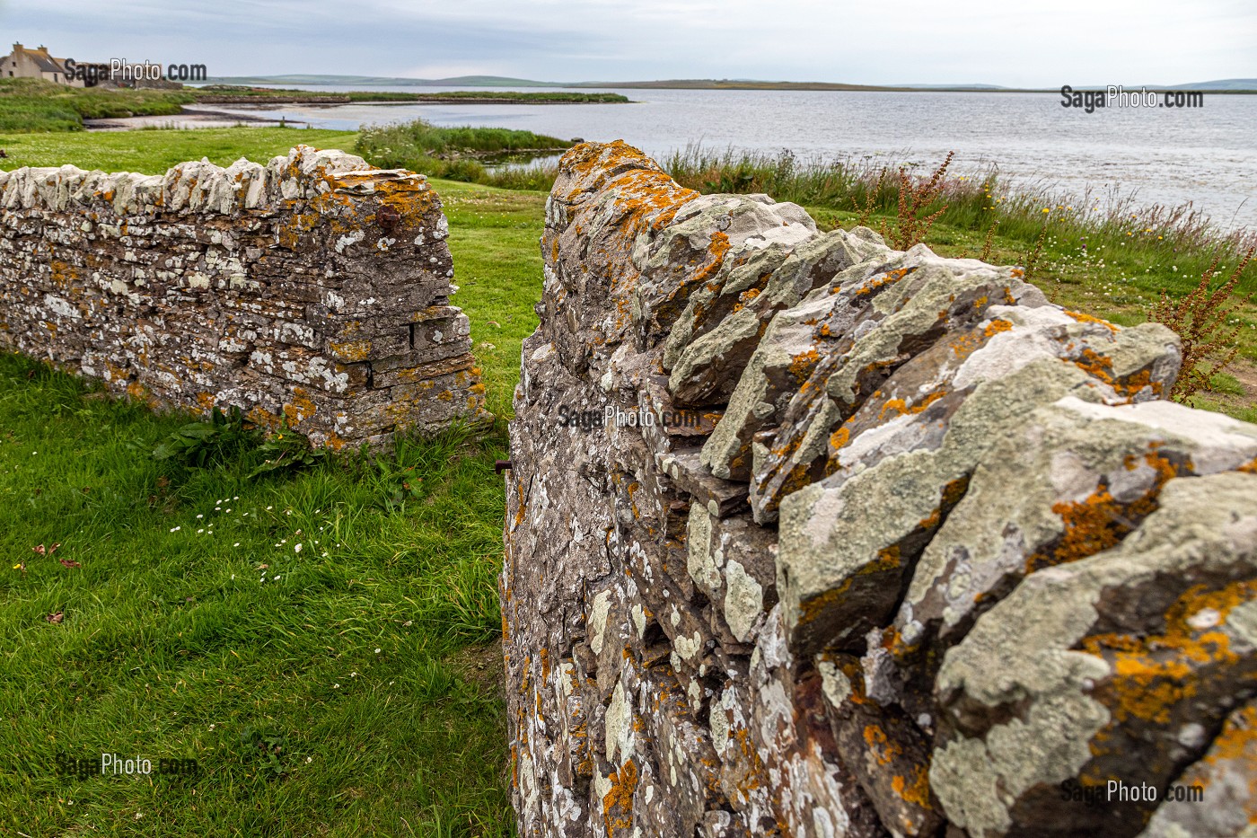 MUR EN PIERRE, TYPIQUE DES PAYSAGES DE LA CAMPAGNE ECOSSAISE, STROMNESS, ARCHIPEL DES ORCADES, ECOSSE, ROYAUME-UNI, EUROPE 