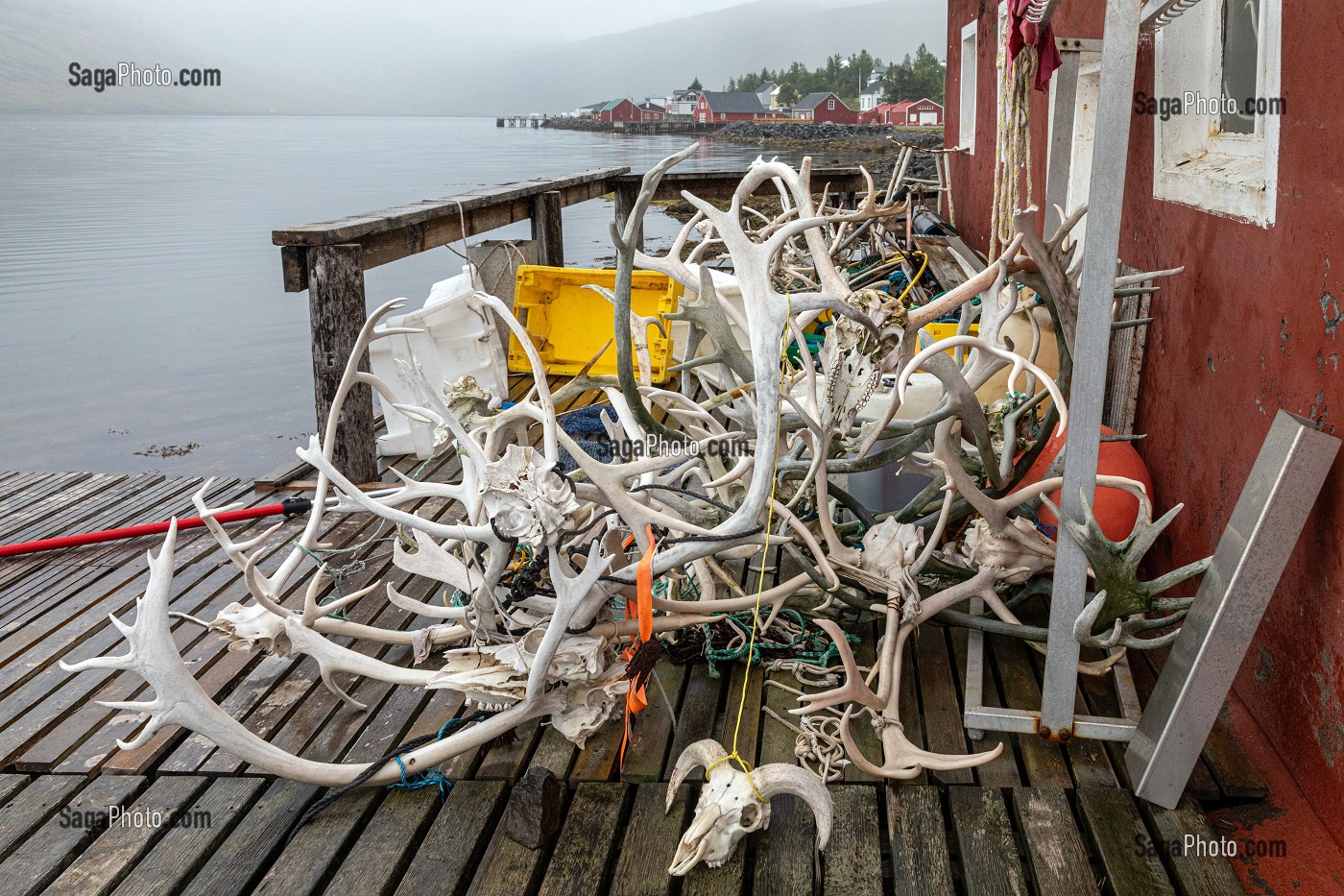 BOIS DE RENNES ENTASSES SUR LE PONTON D'UNE MAISON DE CHASSEUR, ESKIFJORDUR, ISLANDE, EUROPE 