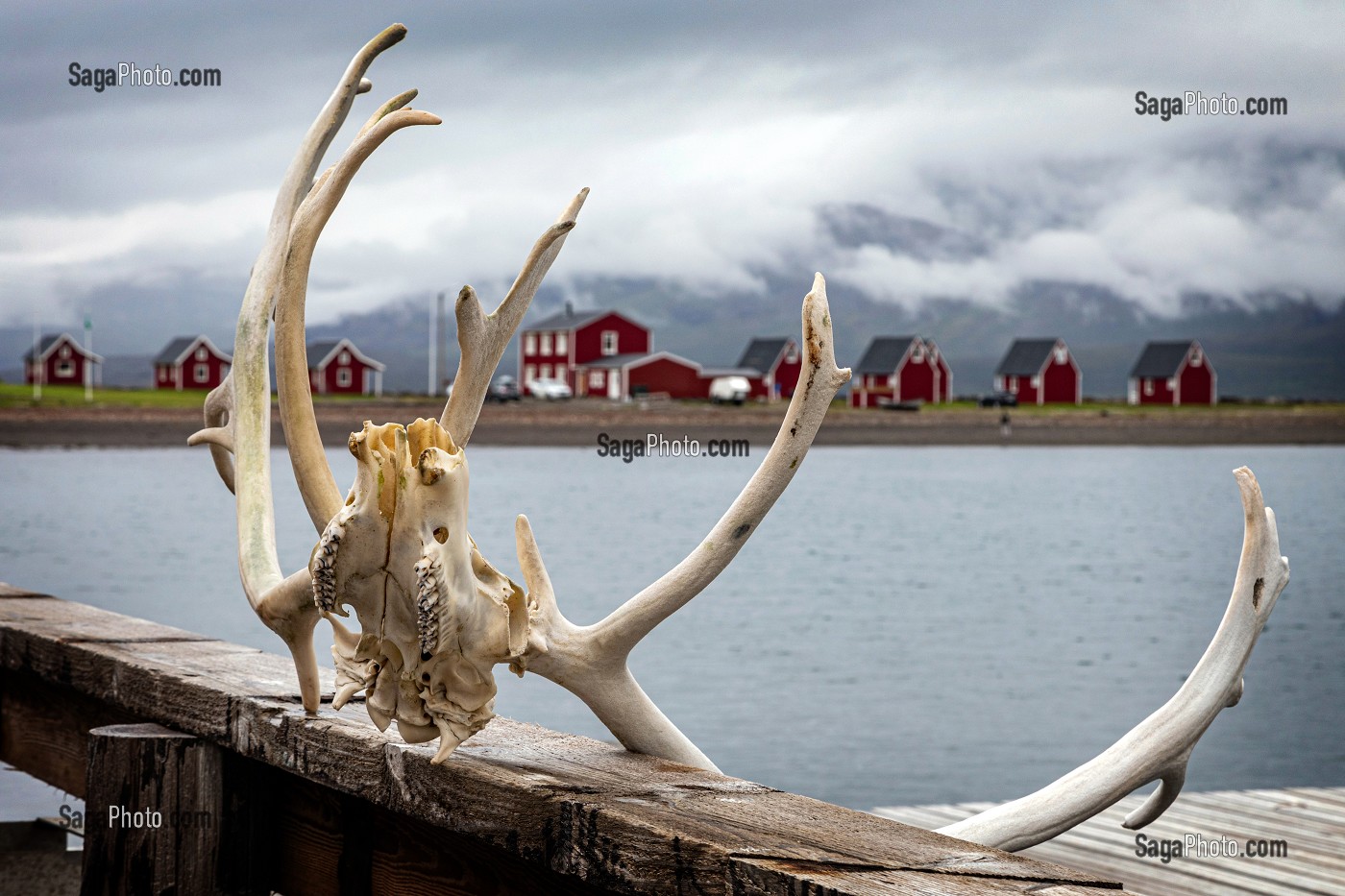 BOIS DE RENNES SUR LE PONTON D'UNE MAISON DE CHASSEUR, ESKIFJORDUR, ISLANDE, EUROPE 