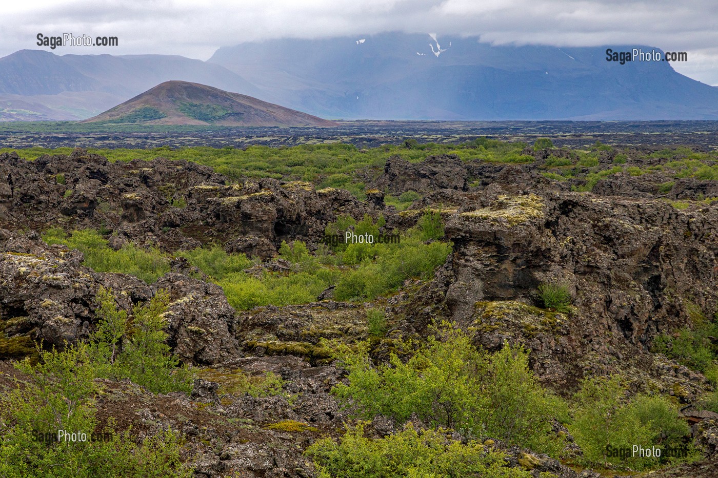 SITE VOLCANIQUE DES CHATEAUX NOIRS, PROMENADE AU MILIEU DES FORMATIONS DE LAVE, BORGIR, MYVATN, ISLANDE, EUROPE 