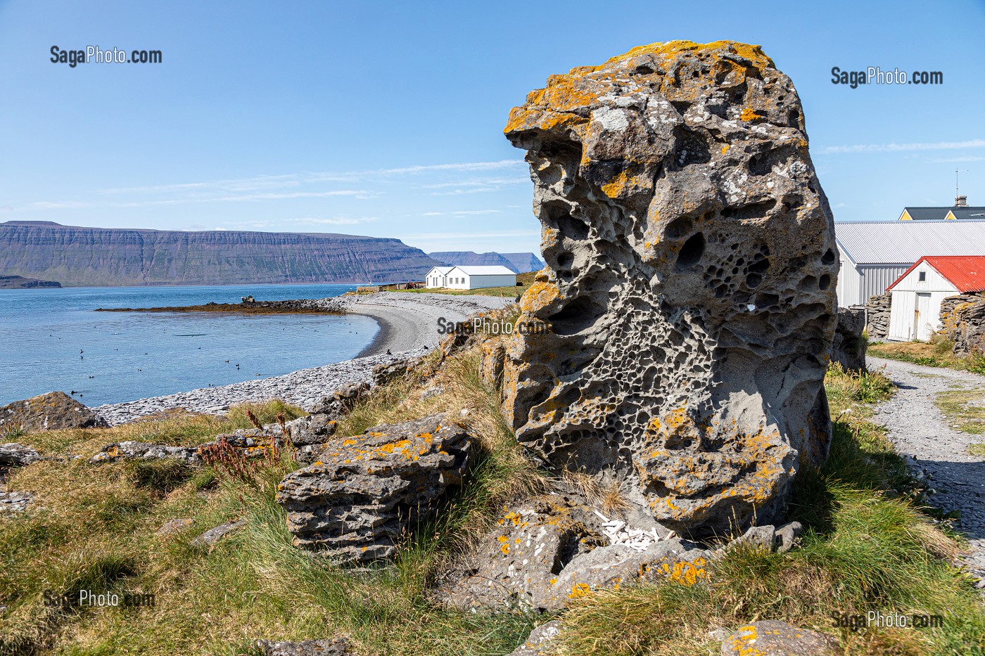 PHOQUES DEVANT L'ILE DE VIGUR, RESERVE ORNITHOLOGIQUE D'OISEAUX MARINS, FJORD ISAFJARDARJUP, ISLANDE, EUROPE 