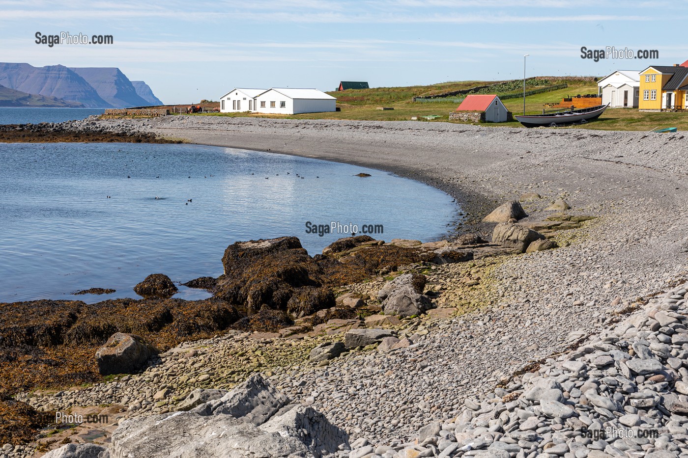 LA PLAGE GALET DE L'ILE DE VIGUR, RESERVE ORNITHOLOGIQUE D'OISEAUX MARINS, FJORD ISAFJARDARJUP, ISLANDE, EUROPE 