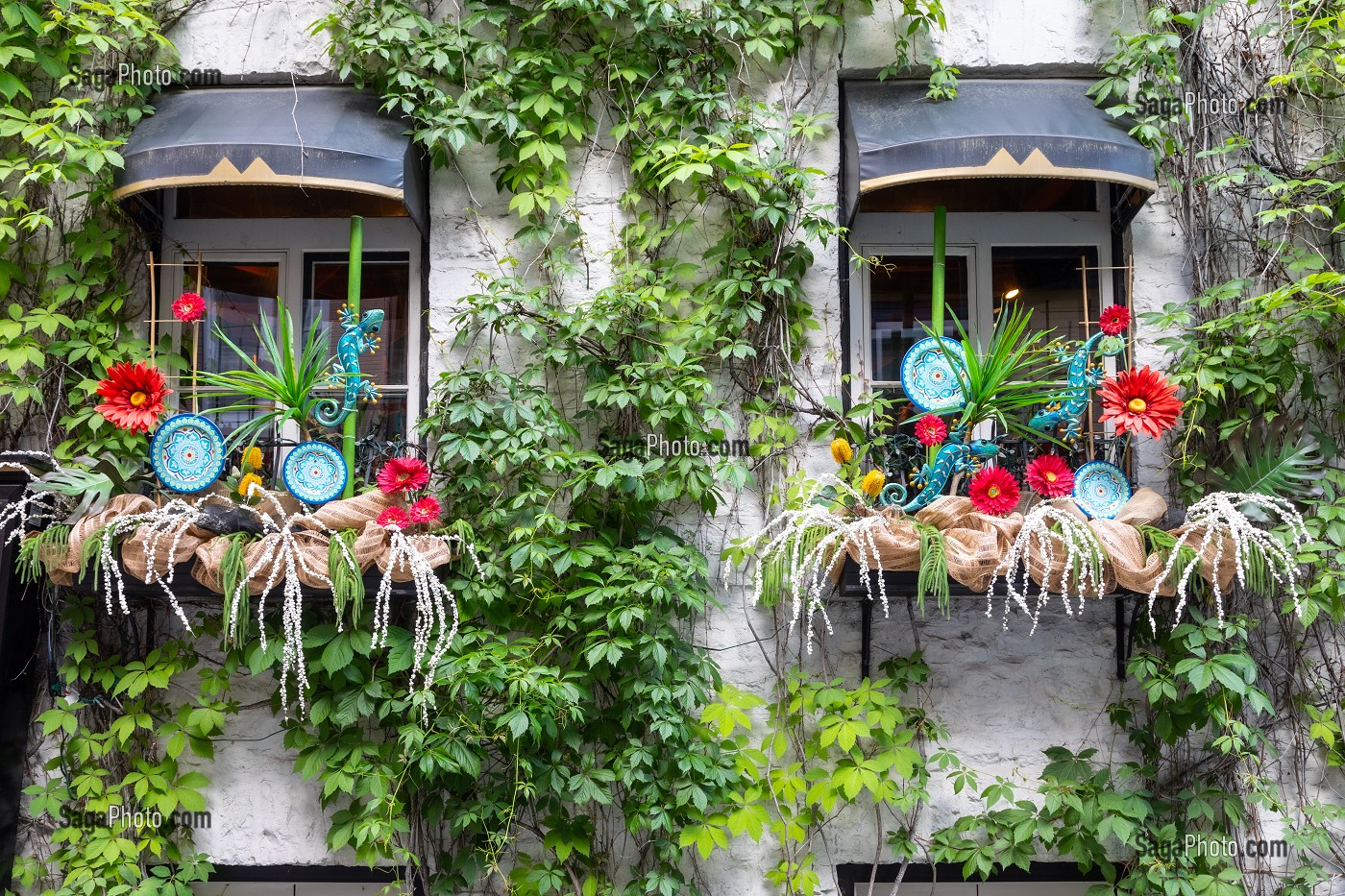 FENETRE D'UNE BOUTIQUE DE DECORATION ALPAGAS, RUE DU PETIT CHAMPLAIN, QUARTIER ANIME ET COMMERCANT, QUEBEC, CANADA 