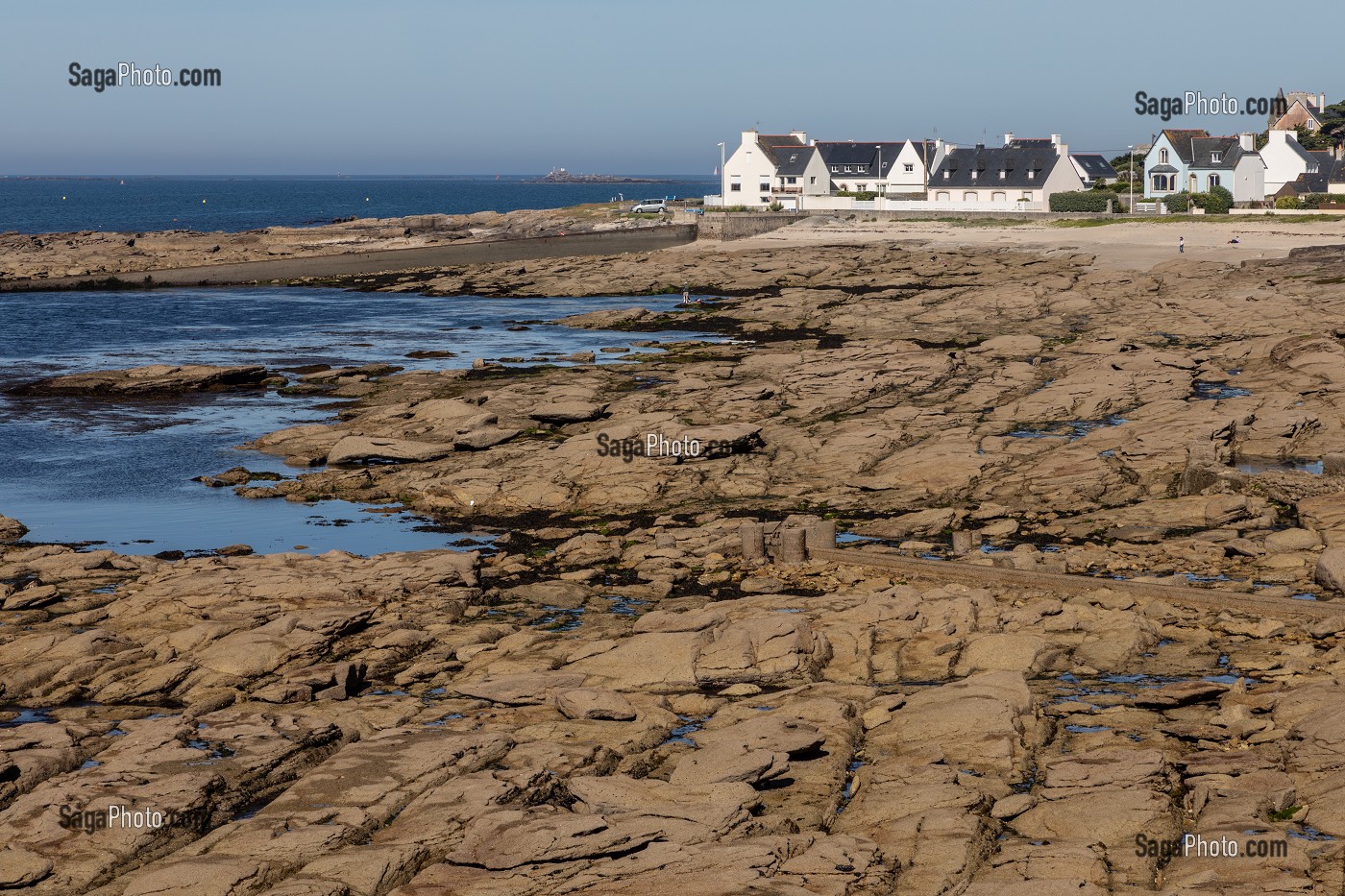 RESERVE NATURELLE DE LA GREVE JAUNE, GUILVINEC, FINISTERE, BRETAGNE, FRANCE 
