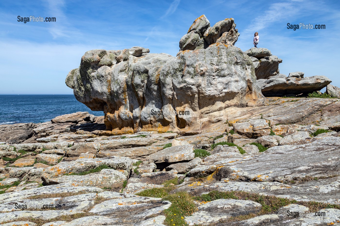 RESERVE NATURELLE DE LA ROCHE DU PREFET (ROCHERS DES VICTIMES), PENMARCH, FINISTERE, BRETAGNE, FRANCE 