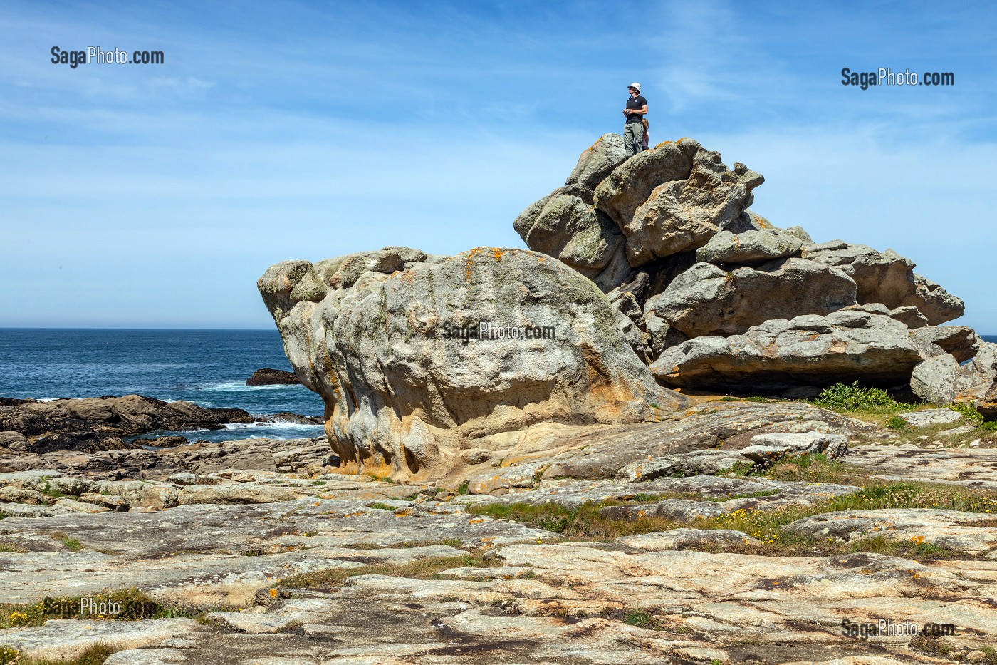 RESERVE NATURELLE DE LA ROCHE DU PREFET (ROCHERS DES VICTIMES), PENMARCH, FINISTERE, BRETAGNE, FRANCE 