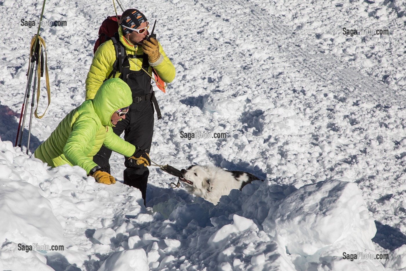 REPORTAGE SUR LES MAITRES-CHIENS D'AVALANCHE, FORMATION ORGANISEE PAR LA SECURITE CIVILE, LES-DEUX-ALPES, FRANCE 