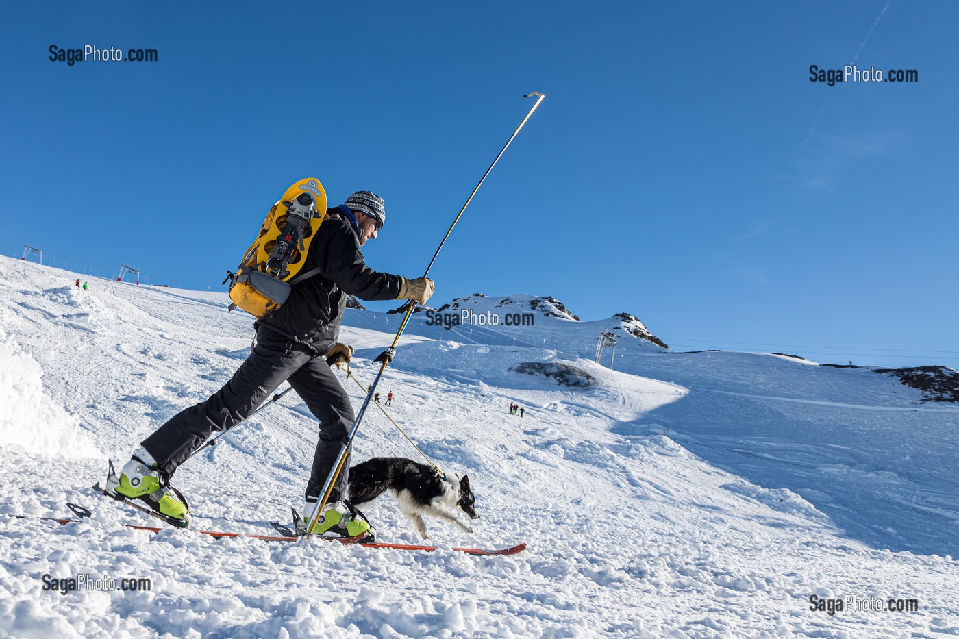 MAITRE CHIEN AVEC SON BORDER COLLIE EN DEPLACEMENT SKI, REPORTAGE SUR LES MAITRES-CHIENS D'AVALANCHE, FORMATION ORGANISEE PAR L'ANENA AVEC L'AGREMENT DE LA SECURITE CIVILE, LES-DEUX-ALPES (38), FRANCE 