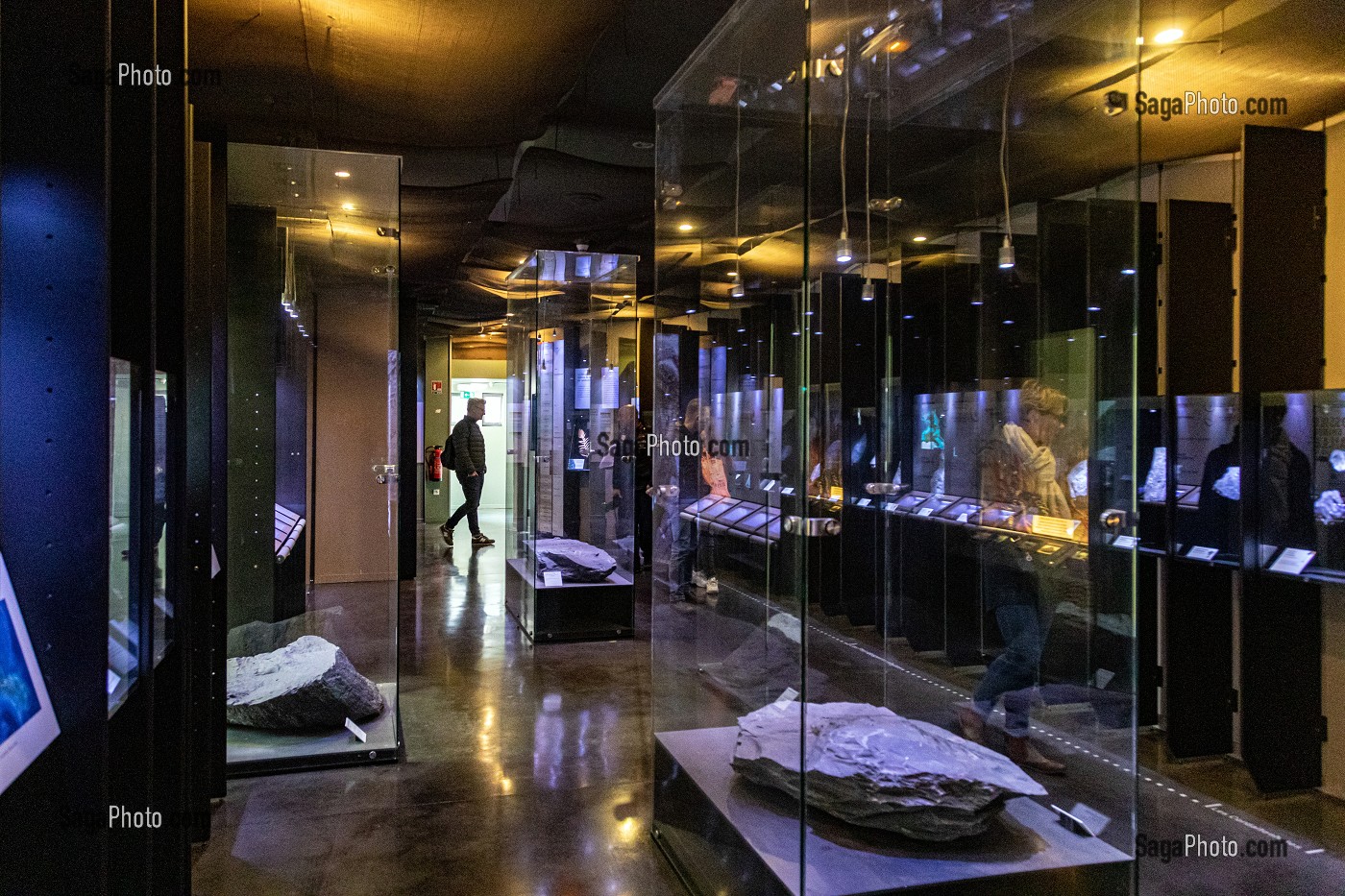 SALLE D'EXPOSITION DES MINERAUX ET DES FOSSILES 'A L'ORIGINE DU CHARBON', MUSEE DE LA MINE DU NORD-PAS DE CALAIS, CENTRE HISTORIQUE MINIER LEWARDE, NORD, FRANCE 
