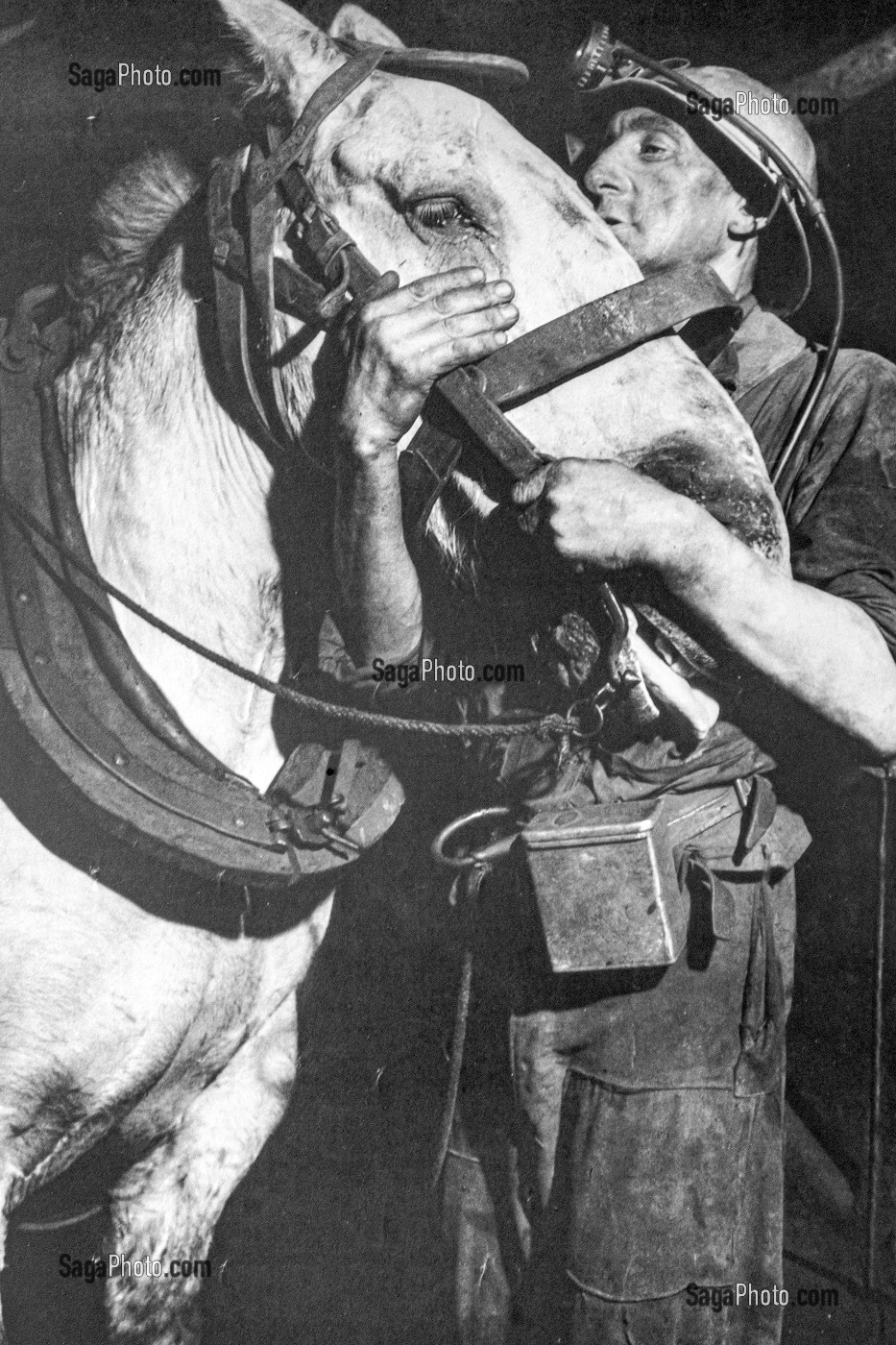 MINEUR ET SON CHEVAL DANS LES GALERIES DE CHARBON, MUSEE DE LA MINE DU NORD-PAS DE CALAIS, CENTRE HISTORIQUE MINIER LEWARDE, NORD, FRANCE 