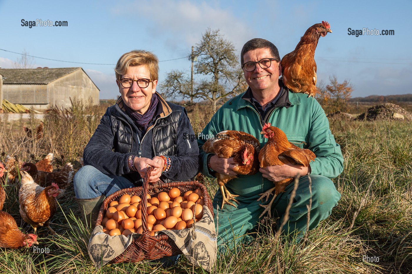 MONSIEUR ET MADAME PATTE-GRANVILLAIN ET LEUR FILS, ELEVAGE DE POULES PONDEUSES EN PLEIN AIR A LA FERME, SAINT-MARTIN-DE-BRETHENCOURT, YVELINES 