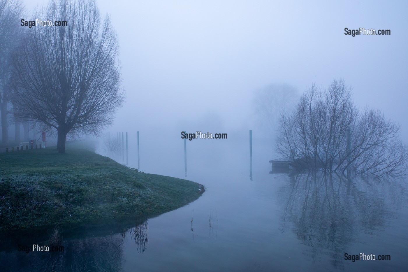 BORDS DE LA SEINE DANS LA BRUME MATINALE, LES-ANDELYS, (27) EURE, HAUTE-NORMANDIE, NORMANDIE, FRANCE 