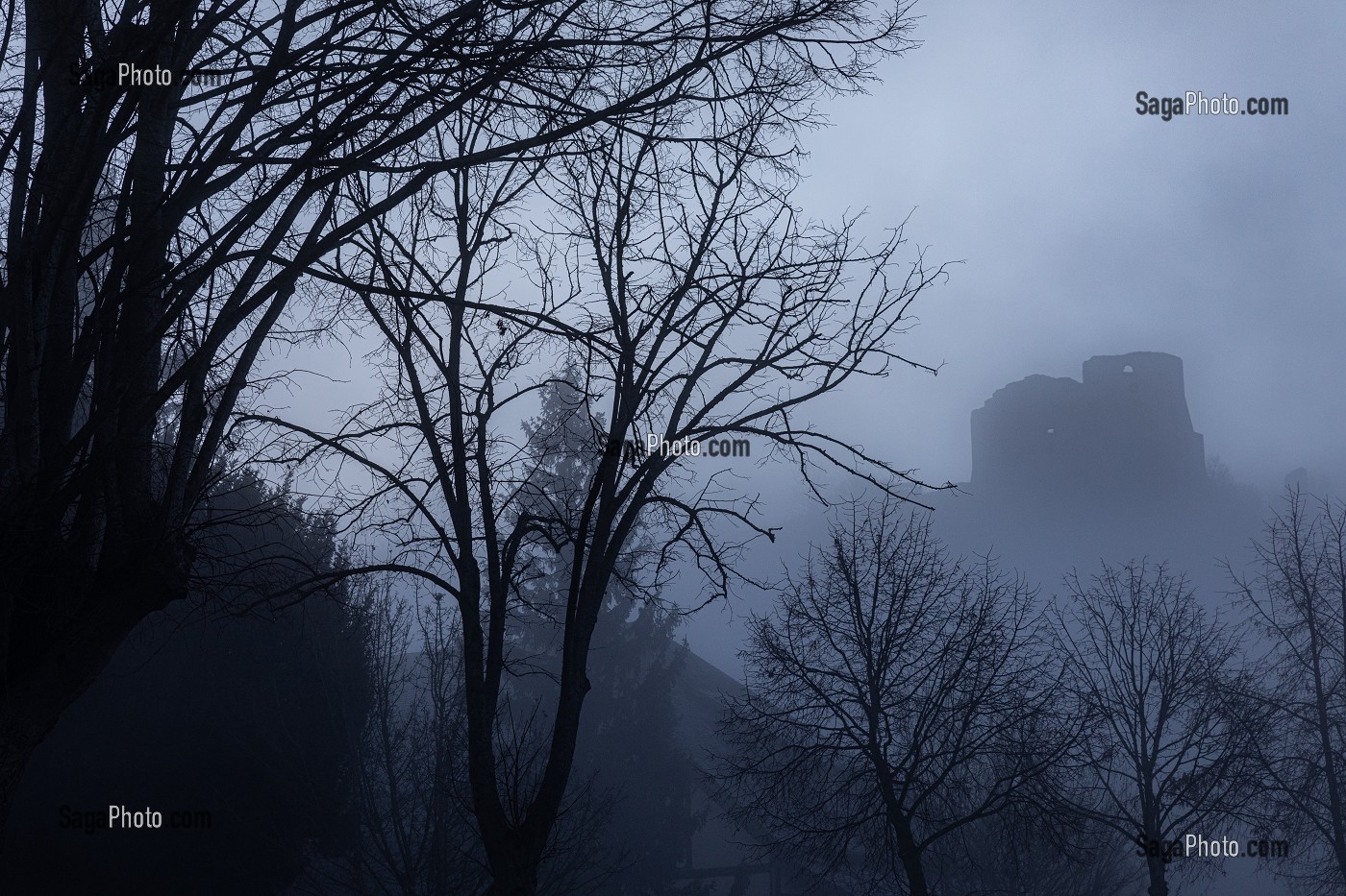 RUINES DU CHATEAU GAILLARD, FORTERESSE MILITAIRE DU XII EME SIECLE DANS LA BRUME MATINALE, LES-ANDELYS, (27) EURE, HAUTE-NORMANDIE, NORMANDIE, FRANCE 