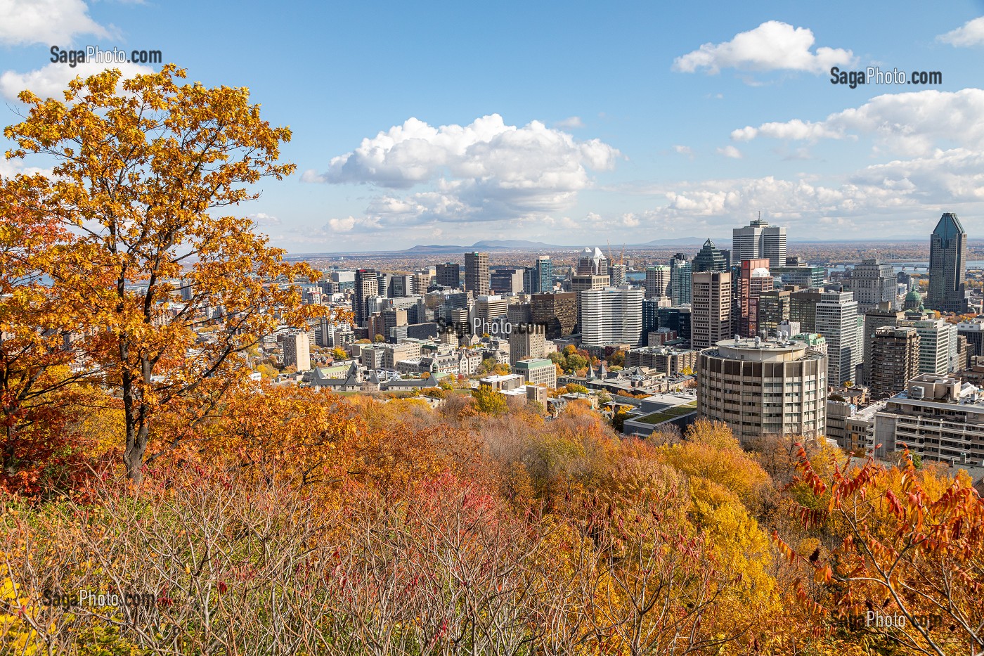 COULEURS D'AUTOMNE DANS LE PARC DU MONT-ROYAL ET VUE SUR DE QUARTIER DES AFFAIRES DE LA VILLE DE MONTREAL, QUEBEC, CANADA 