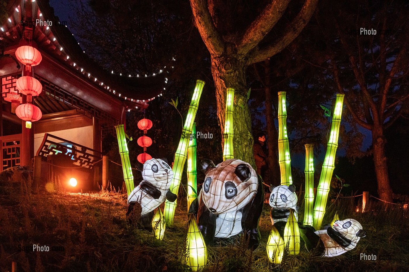 PANDAS BLANCS, JARDIN DES LUMIERES, FESTIVAL DES LANTERNES CHINOISES AU JARDIN BOTANIQUE, MONTREAL, QUEBEC, CANADA 