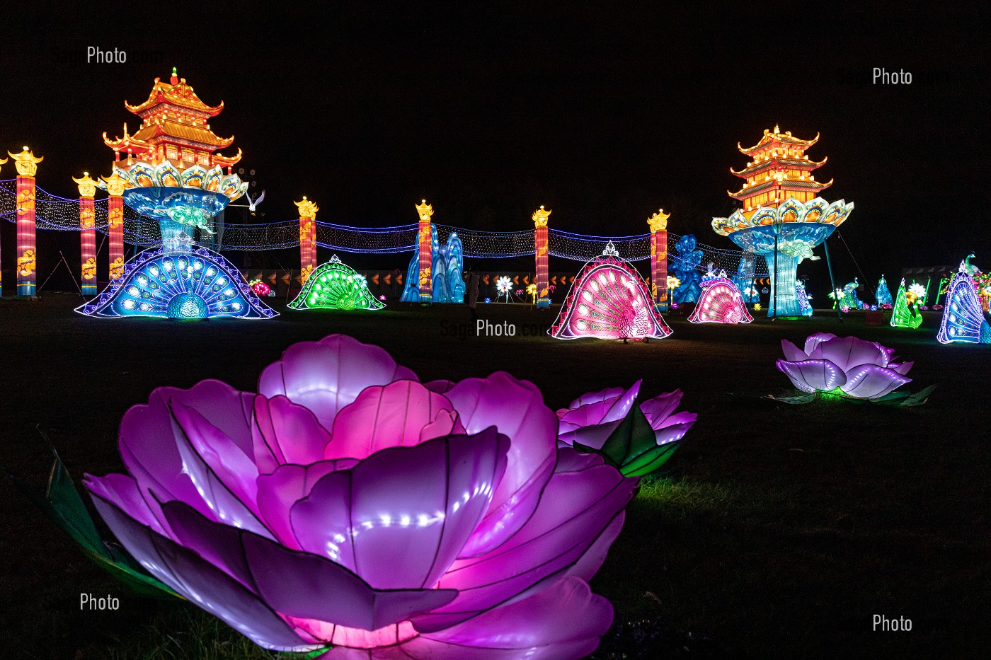 FLEURS DE LOTUS, FEUX FOLLETS, LUMIERE SUR LA CHINE, PARC JEAN DRAPEAU, ILE SAINTE-HELENE, MONTREAL, QUEBEC, CANADA 