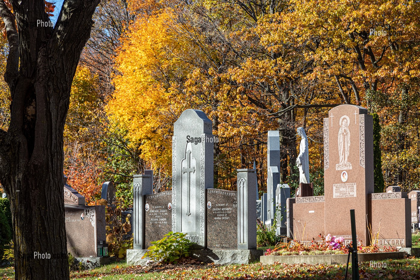 CIMETIERE NOTRE-DAME DES NEIGES, PARC DU MONT-ROYAL AUX COULEURS D'AUTOMNE, MONTREAL, QUEBEC, CANADA 