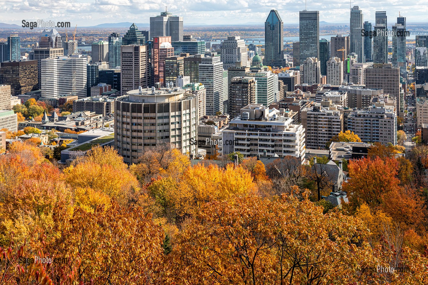 COULEURS D'AUTOMNE DANS LE PARC DU MONT-ROYAL ET VUE SUR DE QUARTIER DES AFFAIRES DE LA VILLE DE MONTREAL, QUEBEC, CANADA 