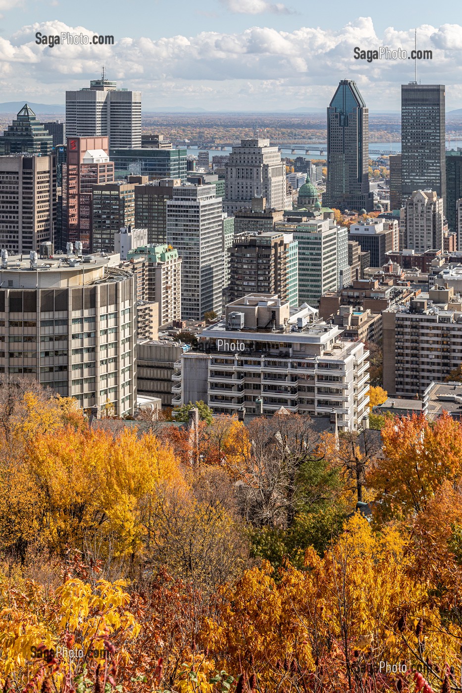 COULEURS D'AUTOMNE DANS LE PARC DU MONT-ROYAL ET VUE SUR DE QUARTIER DES AFFAIRES DE LA VILLE DE MONTREAL, QUEBEC, CANADA 