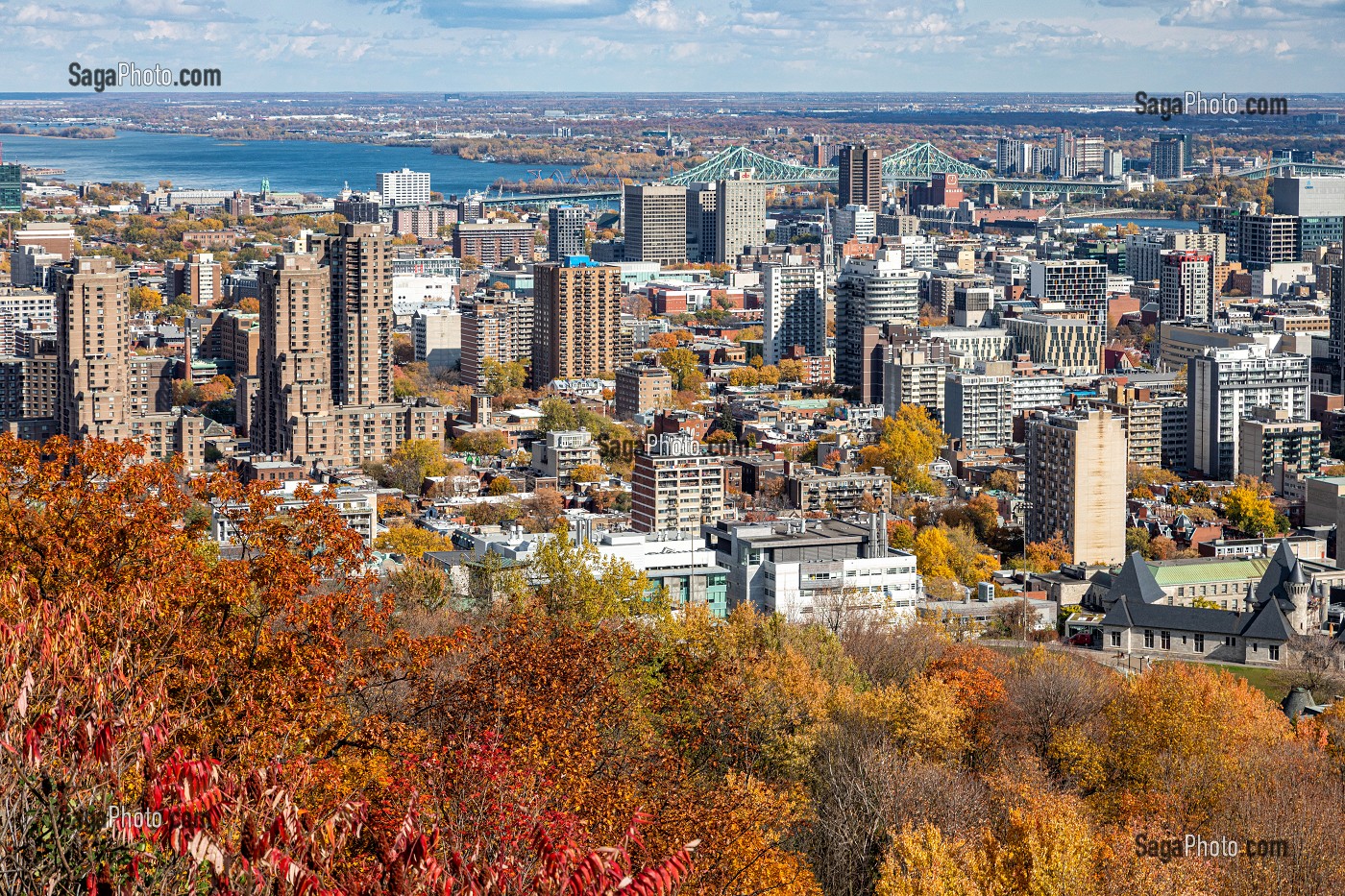 COULEURS D'AUTOMNE DANS LE PARC DU MONT-ROYAL ET VUE SUR DE QUARTIER DES AFFAIRES DE LA VILLE DE MONTREAL, LE FLEUVE SAINT-LAURENT ET LE PONT JACQUES CARTIER, QUEBEC, CANADA 