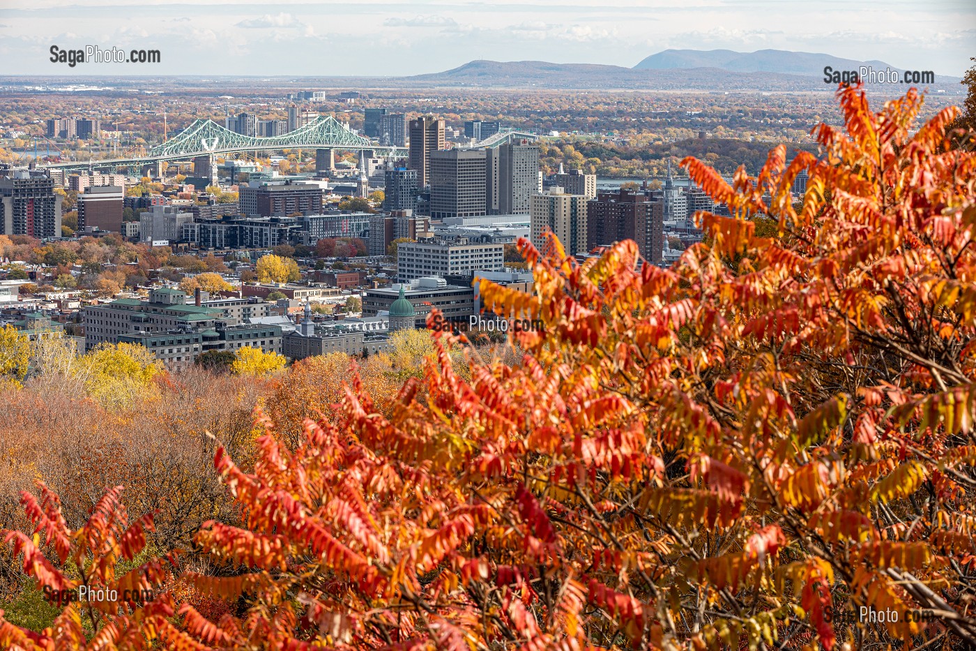 COULEURS D'AUTOMNE DANS LE PARC DU MONT-ROYAL ET VUE SUR LE PONT JACQUES CARTIER ET LA VILLE DE MONTREAL, QUEBEC, CANADA 