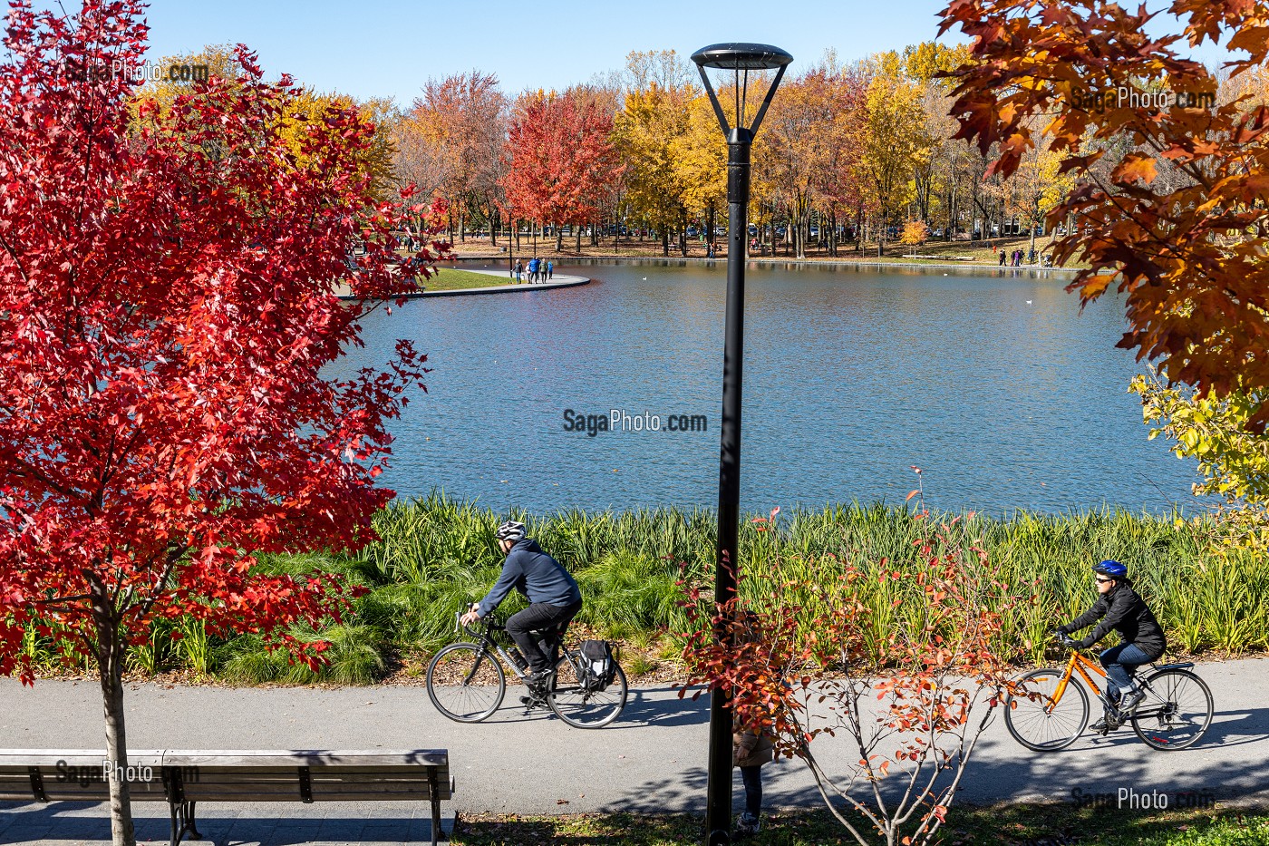 BALADE A VELO AUTOUR DU LAC AUX CASTORS, PARC DU MONT-ROYAL AUX COULEURS D'AUTOMNE, MONTREAL, QUEBEC, CANADA 