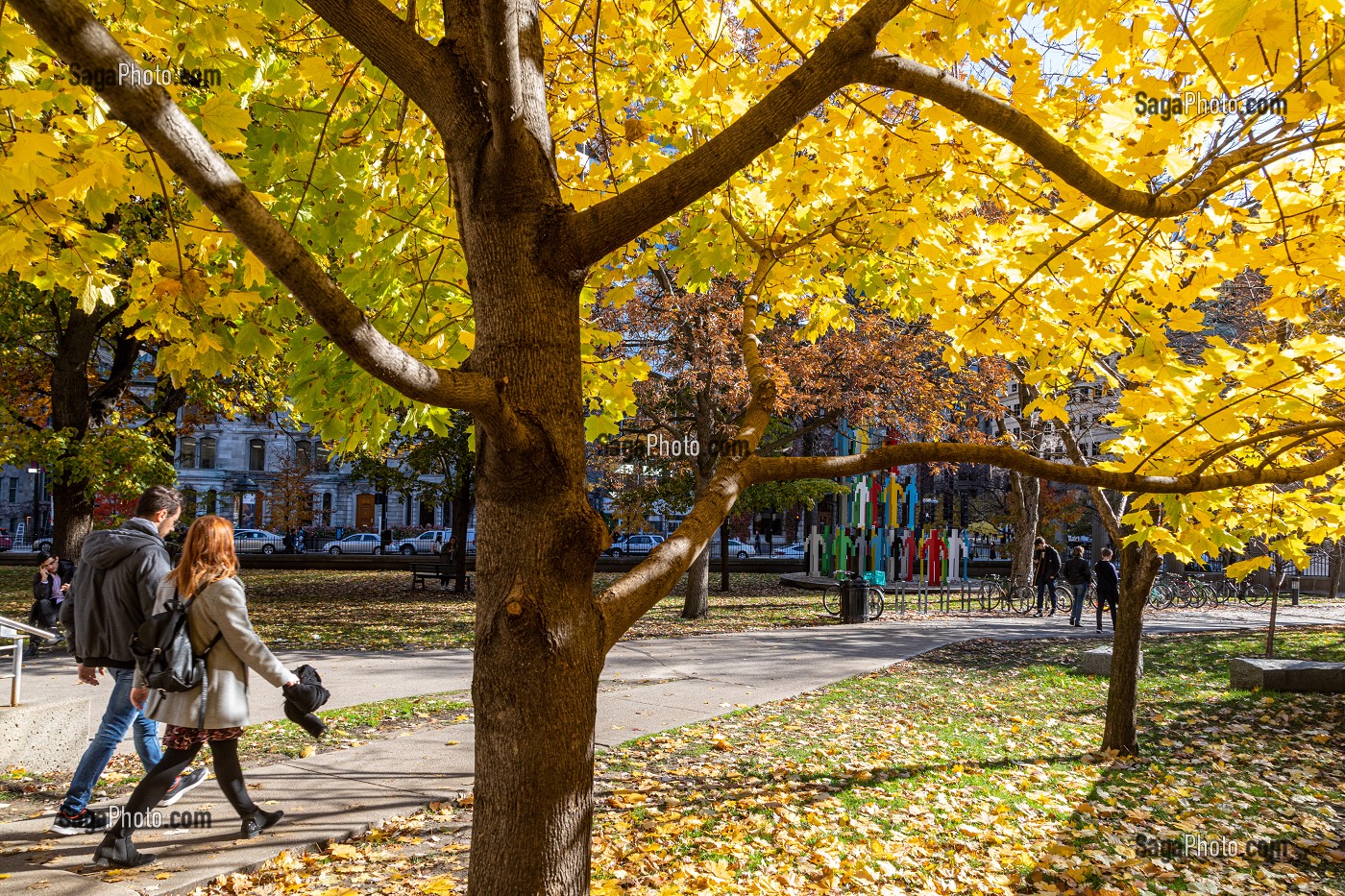 PARC DE L'UNIVERSITE MCGILL AUX COULEURS D'AUTOMNE, RUE SHERBROOKE, MONTREAL, QUEBEC, CANADA 