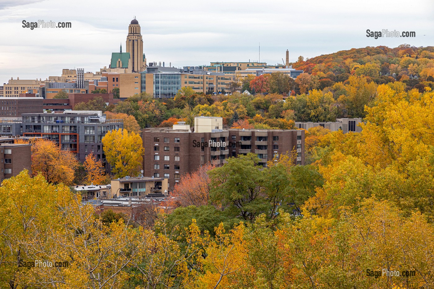 VUE SUR LE PARC DU MONT-ROYAL ET L'UNIVERSITE DE MONTREAL DEPUIS L'ORATOIRE SAINT-JOSEPH, MONTREAL, QUEBEC, CANADA 