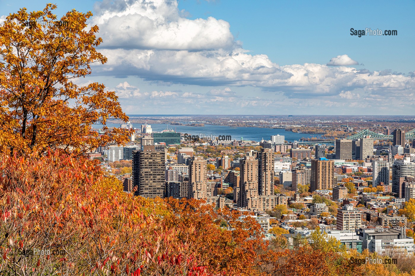 COULEURS D'AUTOMNE DANS LE PARC DU MONT-ROYAL ET VUE SUR DE QUARTIER DES AFFAIRES DE LA VILLE DE MONTREAL, LE FLEUVE SAINT-LAURENT ET LE PONT JACQUES CARTIER, QUEBEC, CANADA 