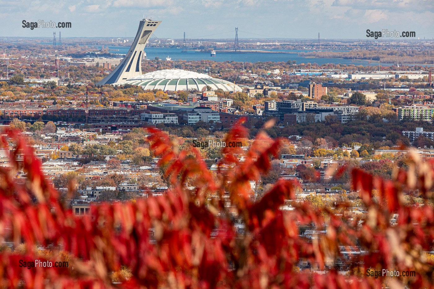 COULEURS D'AUTOMNE DANS LE PARC DU MONT-ROYAL ET VUE SUR LE STADE OLYMPIQUE ET LA VILLE DE MONTREAL, QUEBEC, CANADA 