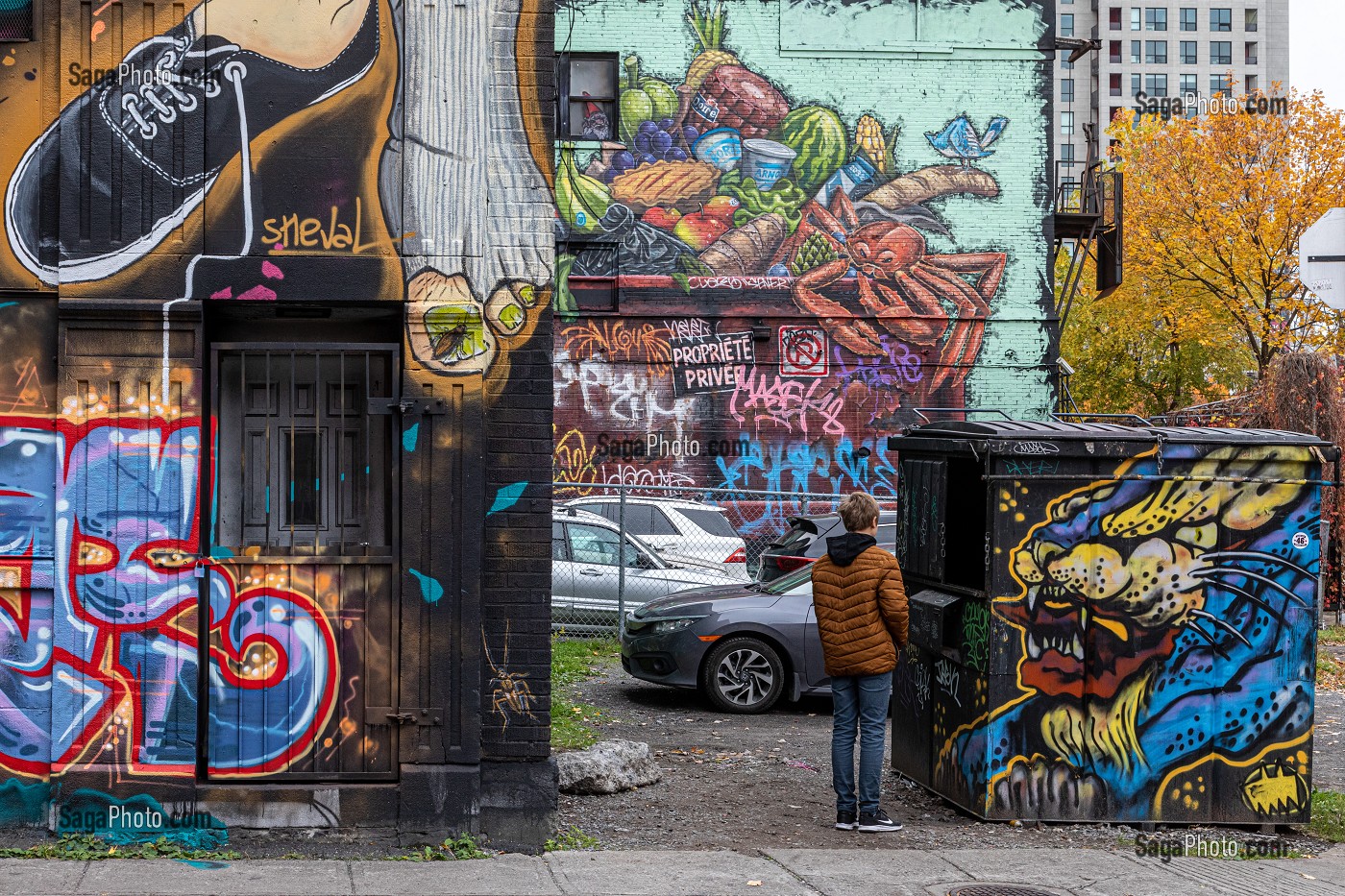 PEINTURES MURALES ET AMBIANCE DE RUE, RUE DE BULLION, MONTREAL, QUEBEC, CANADA 