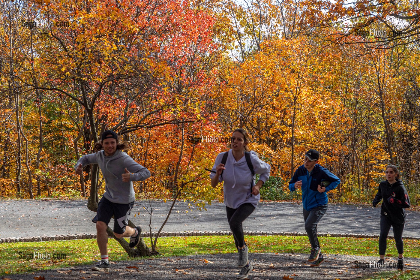 SPORT ET JOGGING AU MILIEU DES COULEURS D'AUTOMNE DANS LE PARC DU MONT-ROYAL, MONTREAL, QUEBEC, CANADA 