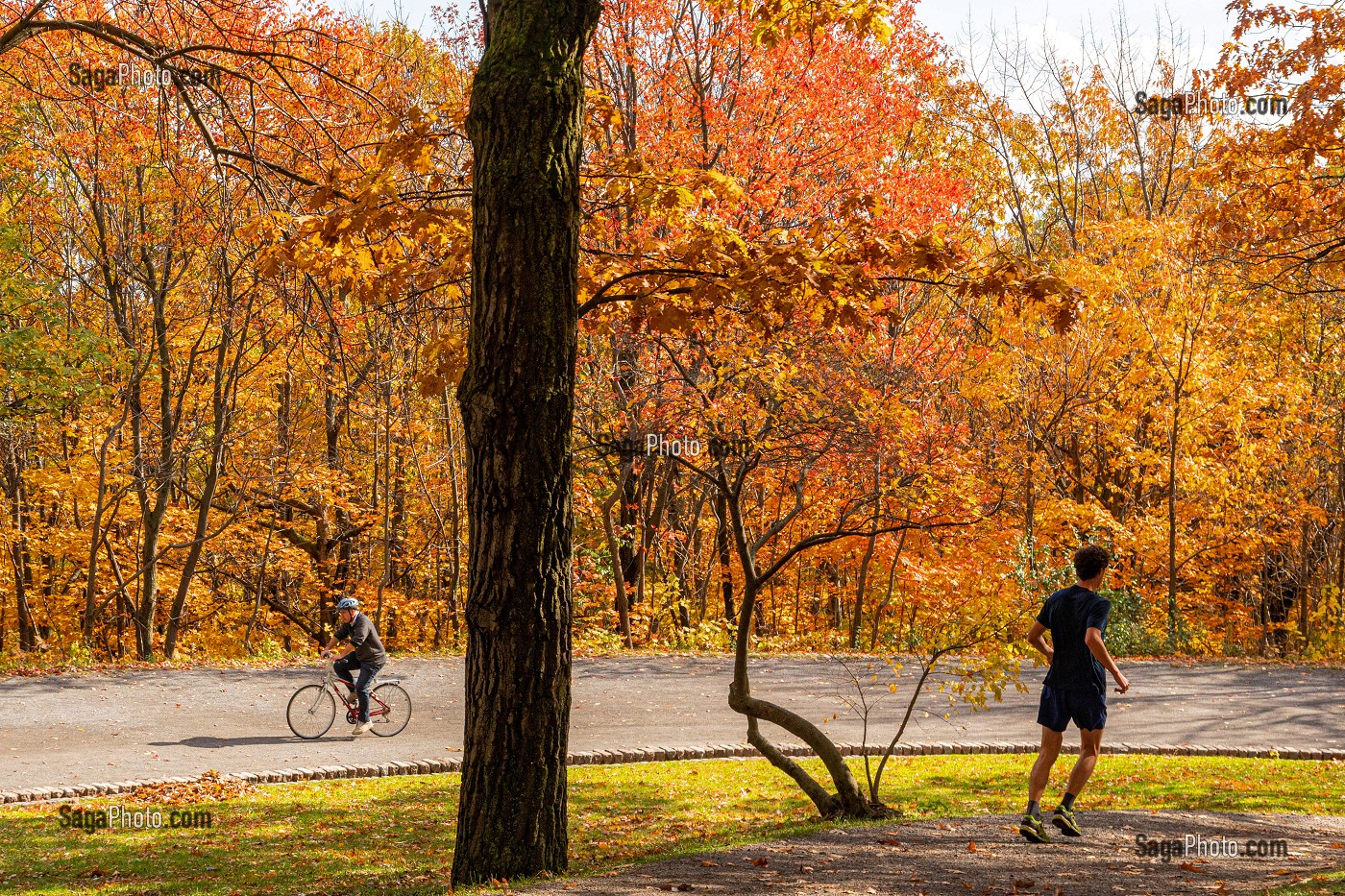 SPORT ET JOGGING AU MILIEU DES COULEURS D'AUTOMNE DANS LE PARC DU MONT-ROYAL, MONTREAL, QUEBEC, CANADA 