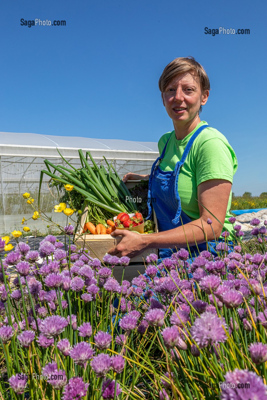 CHRISTELLE MARAICHERE DE TERRE FERME AVEC UN PANIER DE SA PRODUCTION, CHERONVILLIERS, EURE, NORMANDIE, FRANCE, EUROPE 