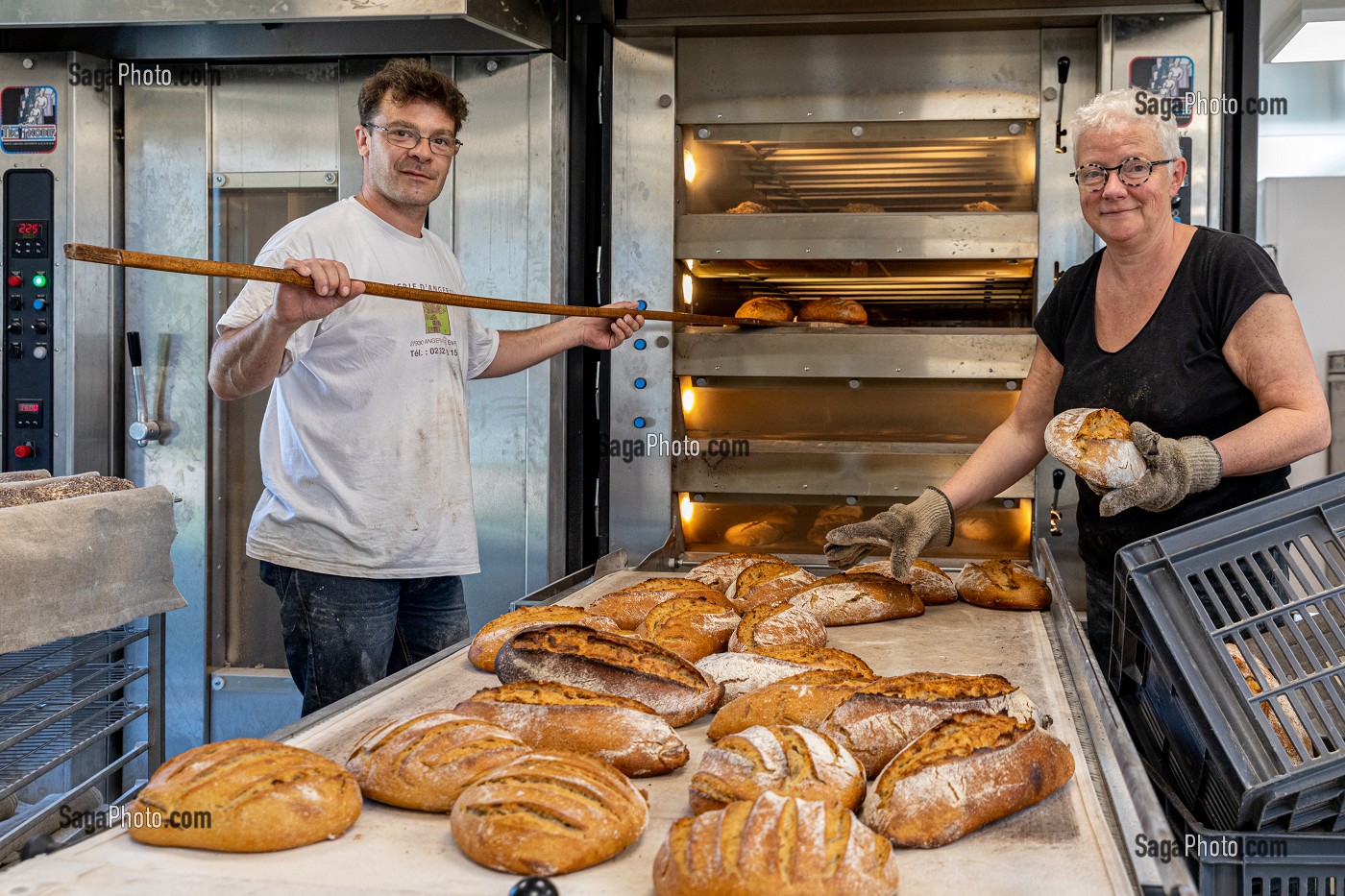 PRODUCTION DE PAIN BIO PAR BLANDINE ZOUTARD, MESNIL-SUR-ITON, EURE, NORMANDIE, FRANCE, EUROPE 