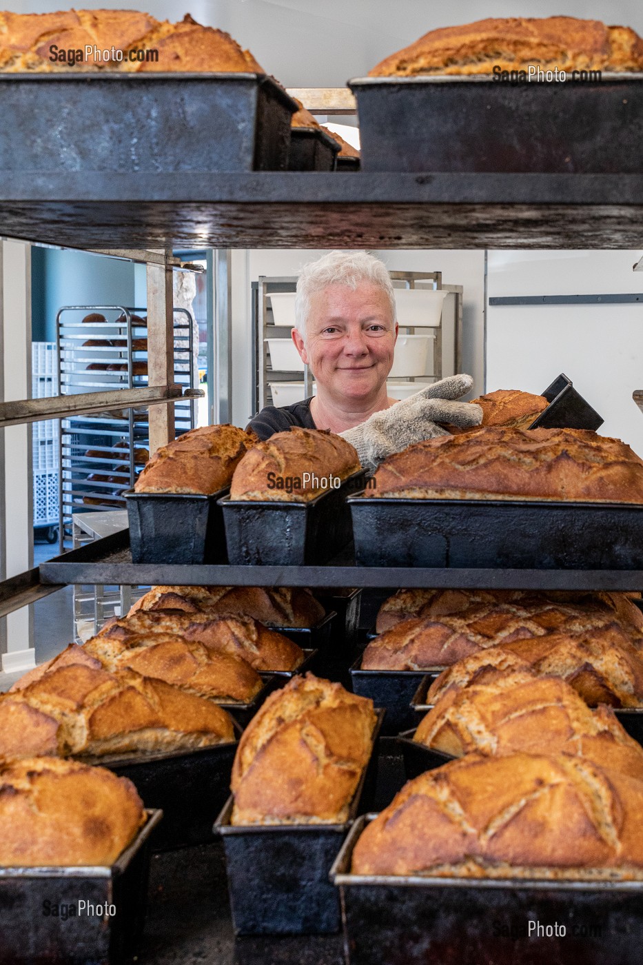 PRODUCTION DE PAIN BIO PAR BLANDINE ZOUTARD, MESNIL-SUR-ITON, EURE, NORMANDIE, FRANCE, EUROPE 