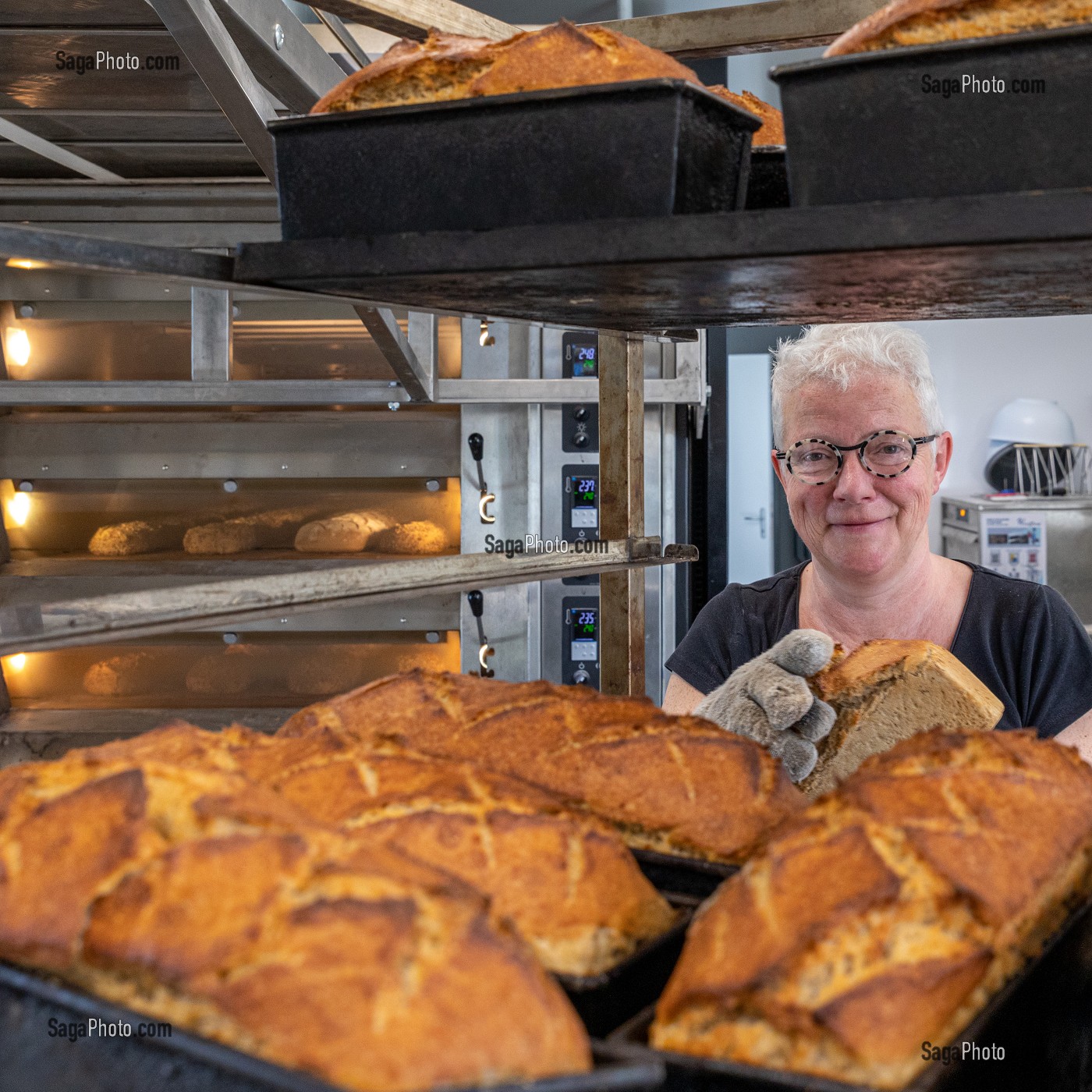 PRODUCTION DE PAIN BIO PAR BLANDINE ZOUTARD, MESNIL-SUR-ITON, EURE, NORMANDIE, FRANCE, EUROPE 