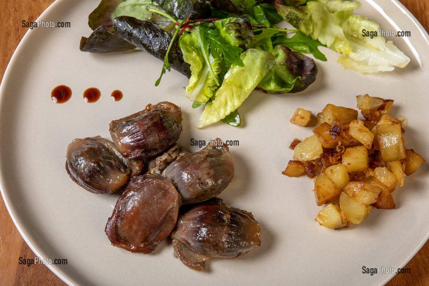 GESIERS DE CANARD, PRODUCTEUR DE FOIE GRAS ET DE CONSERVES A BASE DE CANARD, DOMAINE DE VOISIN, TILLAY-LE-PENEUX, EURE-ET-LOIR, FRANCE 