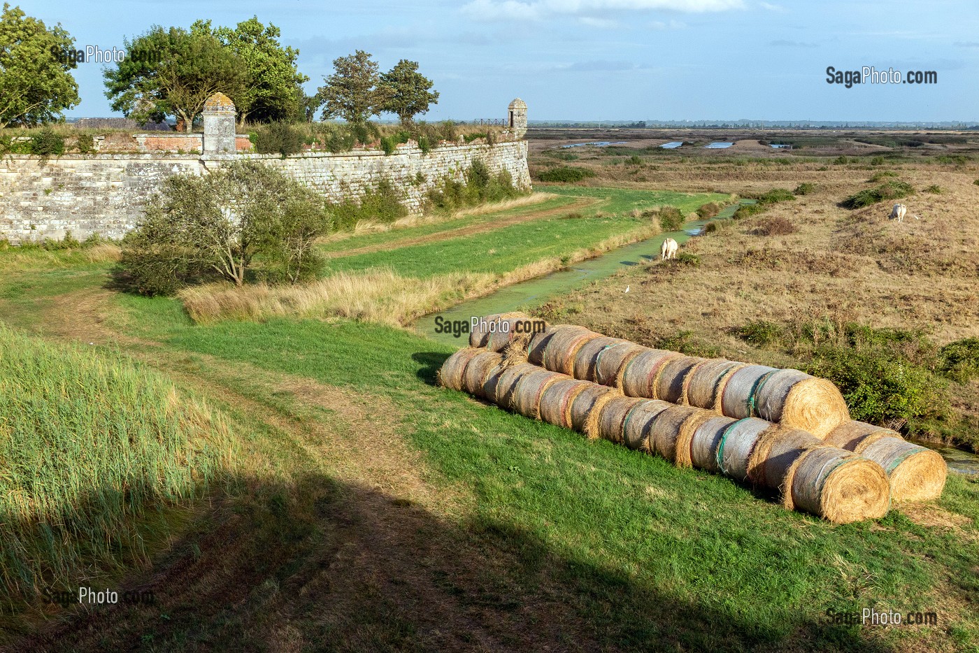 LA CAMPAGNE AUTOUR DE LA VILLE FORTIFIEE DE BROUAGE, CHARENTE-MARITIME, FRANCE 