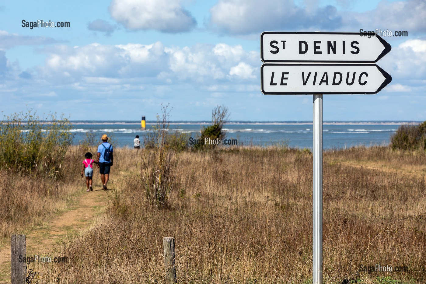 BALADE SUR LA ROUTE TOURISTIQUE EN BORD DE MER VERS SAINT-DENIS ET LE VIADUC, LA POINTE DE CHASSIRON, SAINT-DENIS-D'OLERON, ILE D'OLERON, CHARENTE-MARITIME, FRANCE 