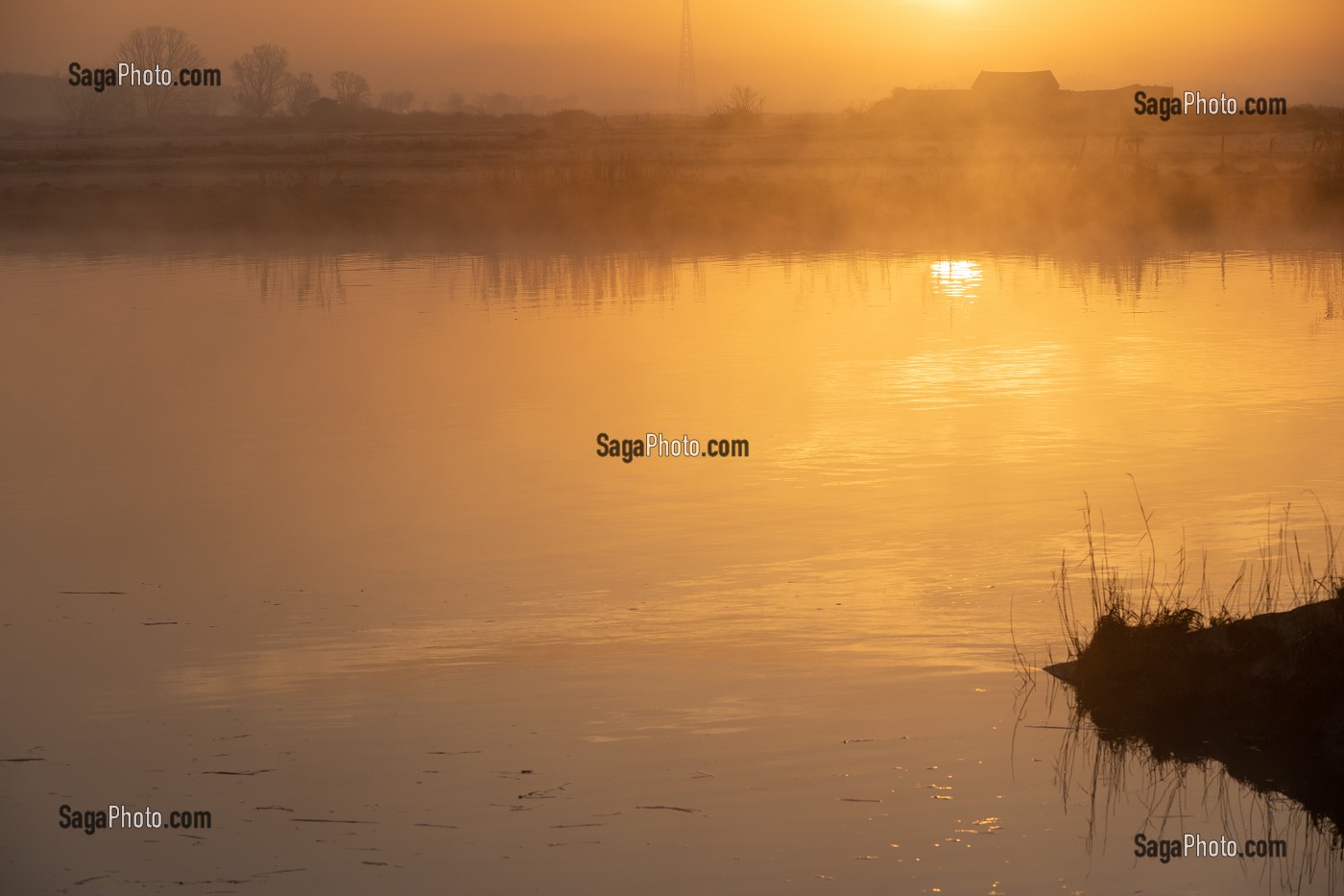 BRUME MATINALE AU LEVER DE SOLEIL SUR LA RIVIERE LA CHARENTE, ROCHEFORT, CHARENTE-MARITIME (17), FRANCE 