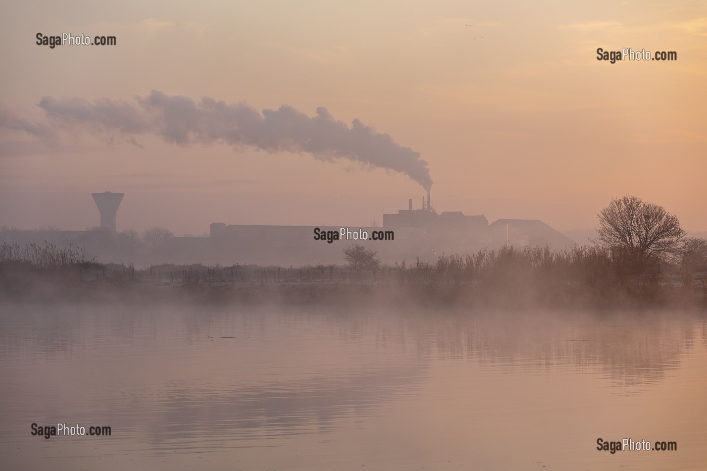 BRUME AU LEVER DE SOLEIL SUR LA RIVIERE LA CHARENTE ET LES CHEMINEES DE TIMAC-AGRO, TONNAY-CHARENTE, ROCHEFORT, CHARENTE-MARITIME (17), FRANCE 