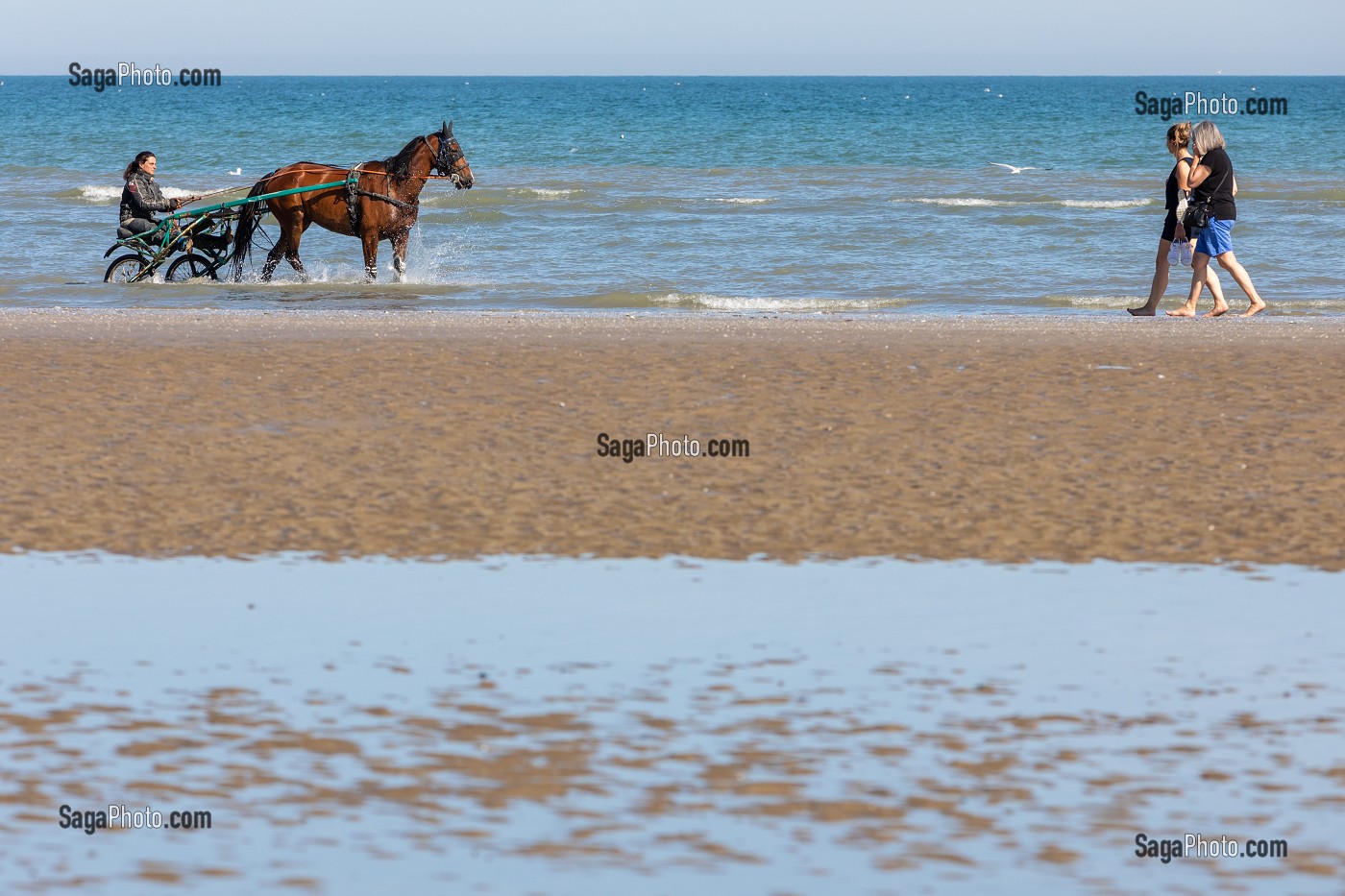 ENTRAINEMENT DES CHEVAUX DE COURSES ATTELEES SUR LA PLAGE DE CABOURG, CALVADOS, NORMANDIE, FRANCE 