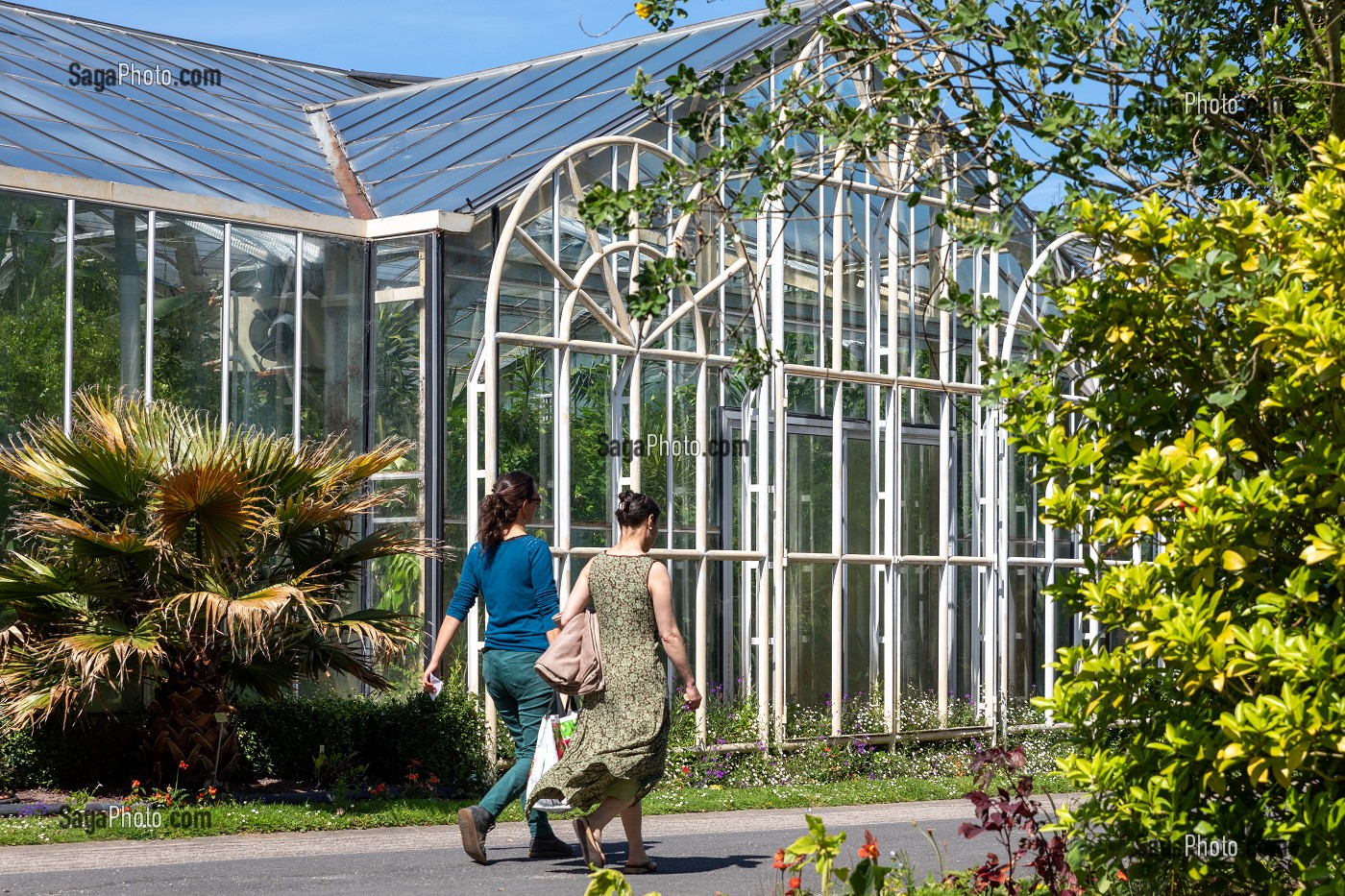 LES GRANDES SERRES DU JARDIN DES PLANTES, CAEN, CALVADOS, NORMANDIE, FRANCE 