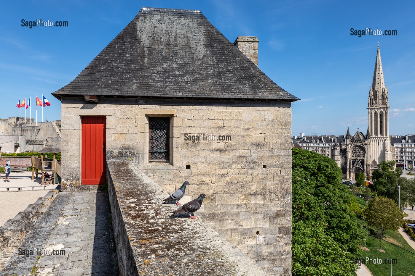 PIGEONS SUR LES REMPARTS DU CHATEAU DE CAEN CONSTRUIT VERS 1060 (XI EME SIECLE) PAR GUILLAUME LE CONQUERANT, RESIDENCE DES DUCS DE NORMANDIE, CLOCHER DE L'EGLISE SAINT-PIERRE, CAEN (14), NORMANDIE, FRANCE 