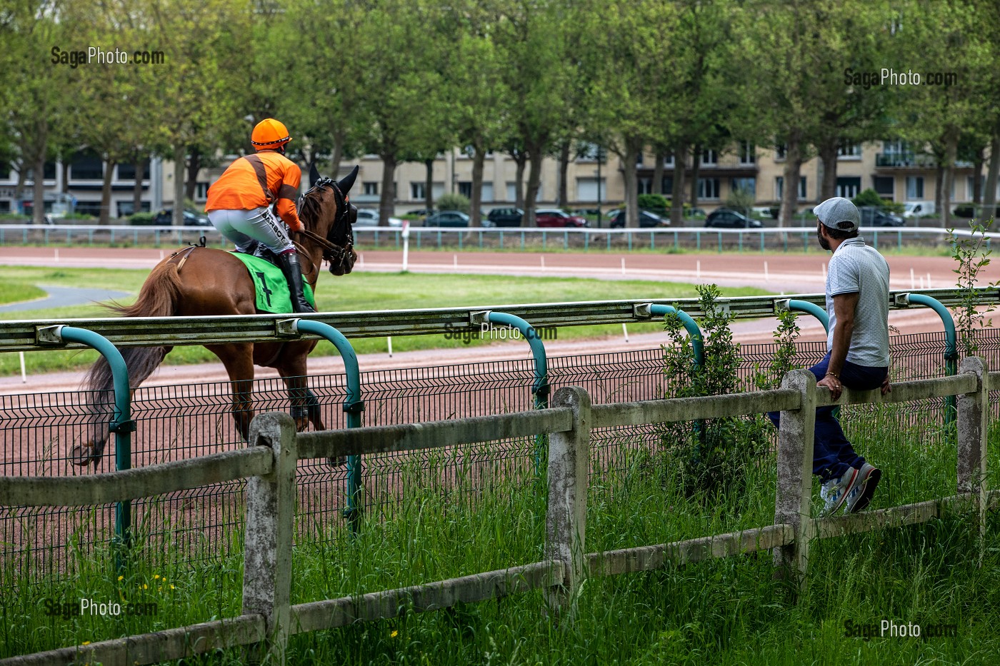 COURSES HIPPIQUES SUR L'HIPPODROME EN CENTRE-VILLE, LA PRAIRIE, CAEN, CALVADOS, NORMANDIE, FRANCE 