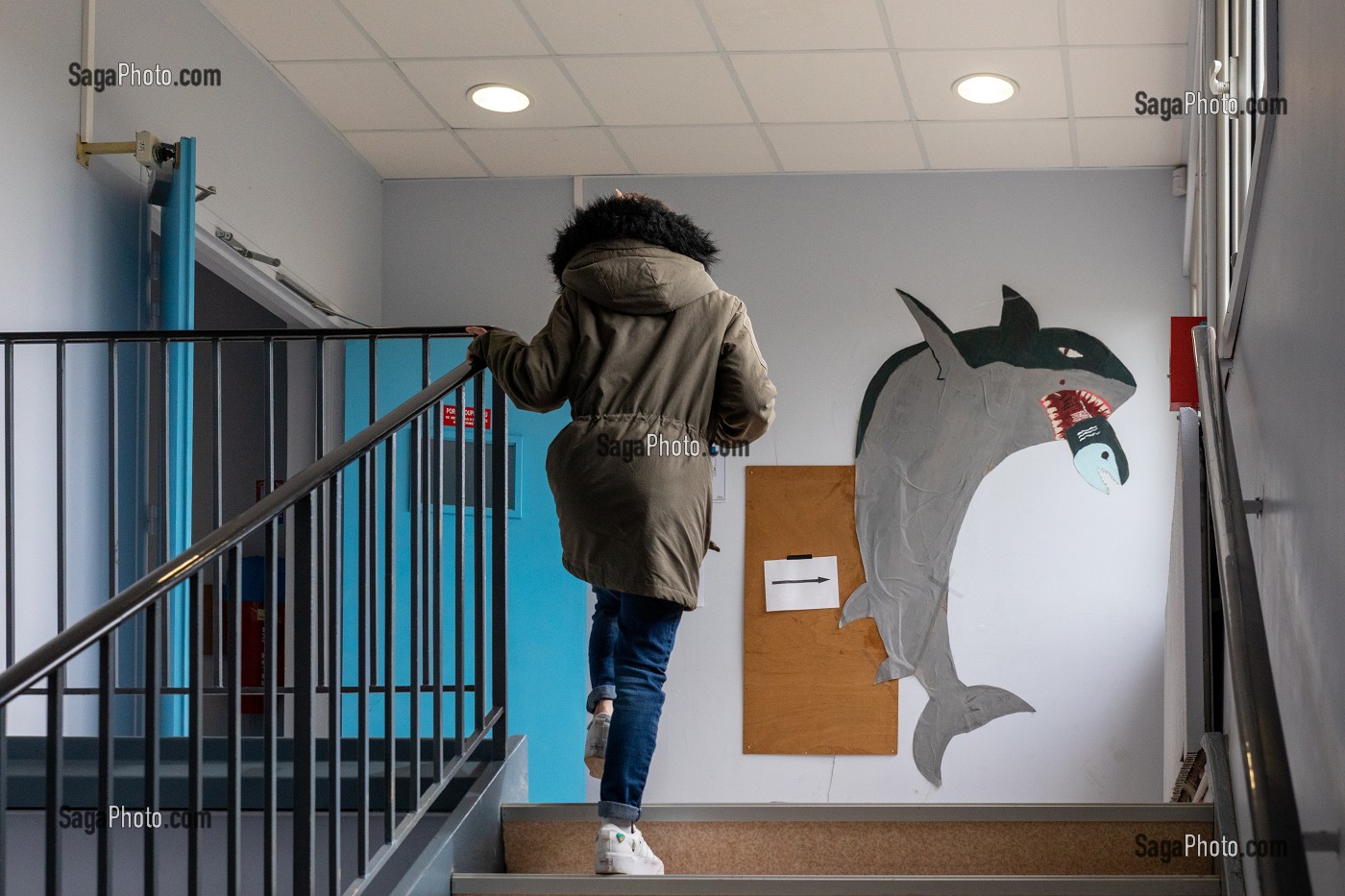 ESCALIER AVEC UN REQUIN QUI MANGE UNE SARDINE, COLLEGE DE RUGLES, RUGLES, EURE, NORMANDIE, FRANCE 